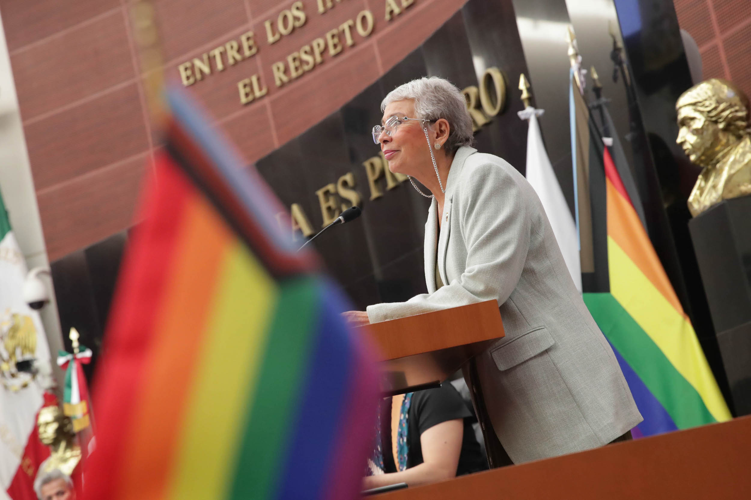 Fundamental, garantizar derechos político-electorales de la población LGBTTTIQ+: Sánchez Cordero 