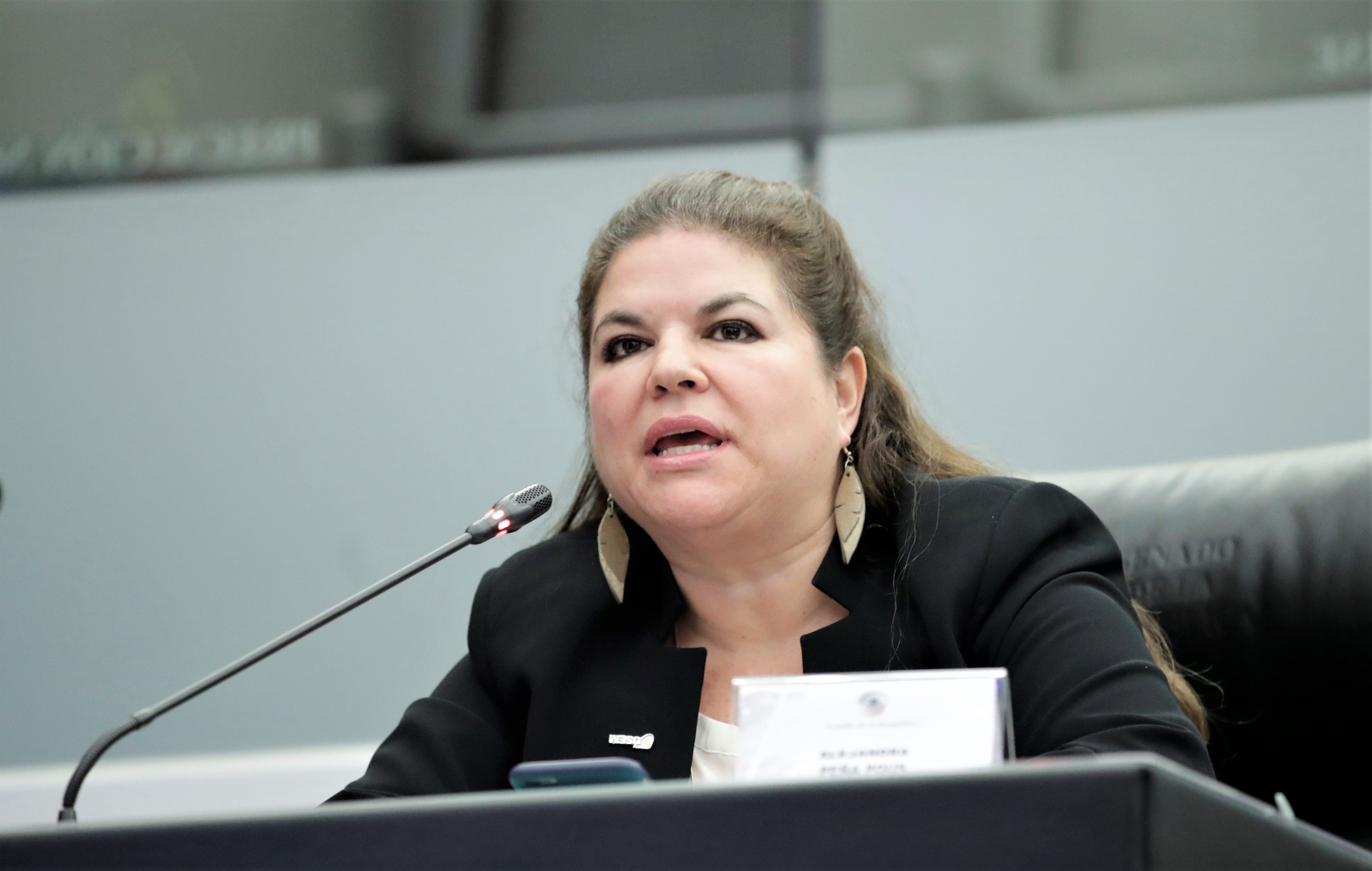 Foro Rumbo al Ano Internacional de la Familia  2024