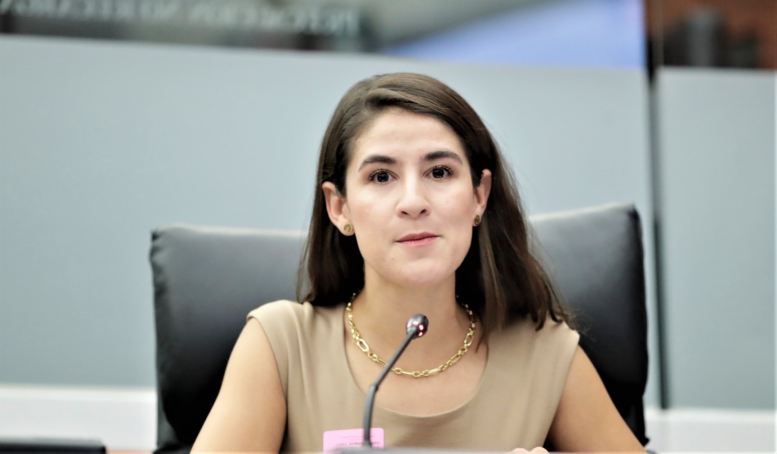Foro Rumbo al Ano Internacional de la Familia  2024