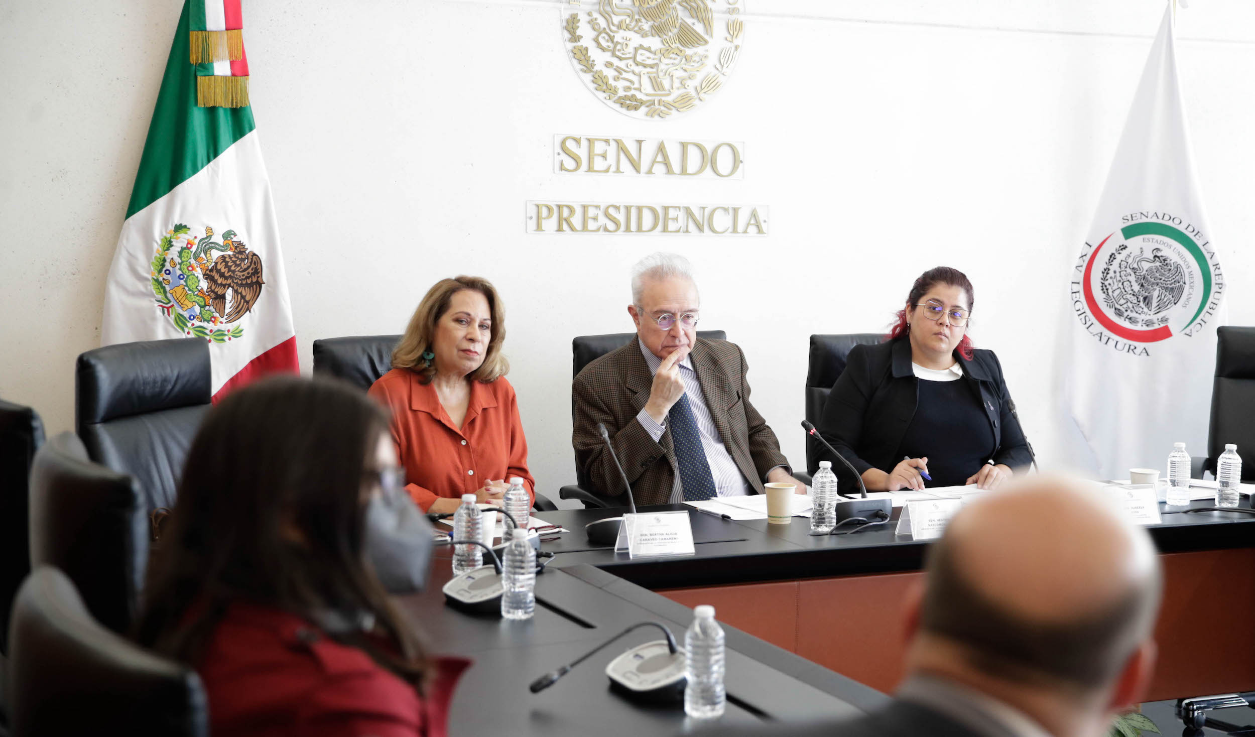 Comisiones de Relaciones Exteriores Desarrollo Bienestar Social y Organismos Internacionales-