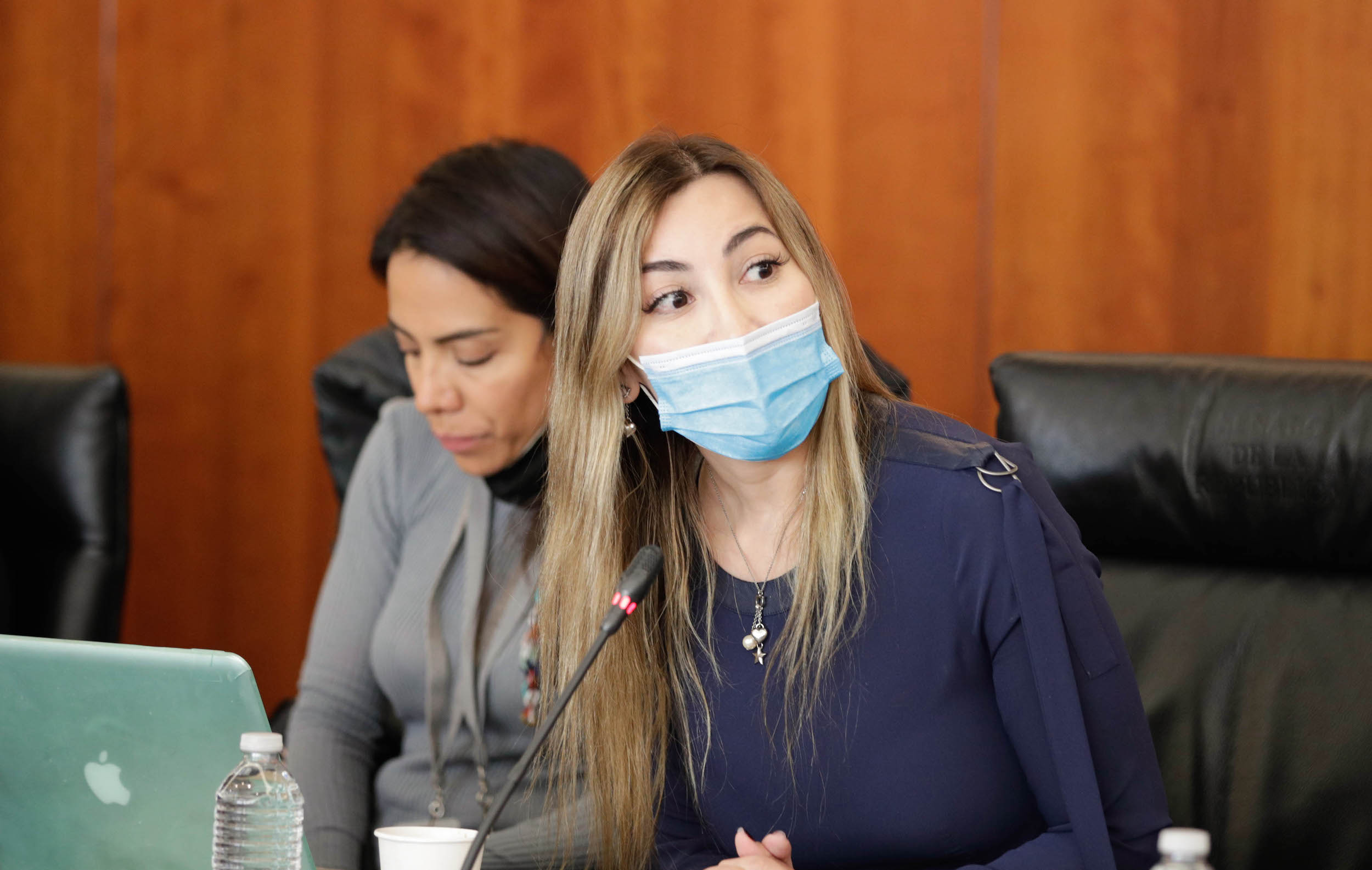 Comisiones de Relaciones Exteriores Desarrollo Bienestar Social y Organismos Internacionales-