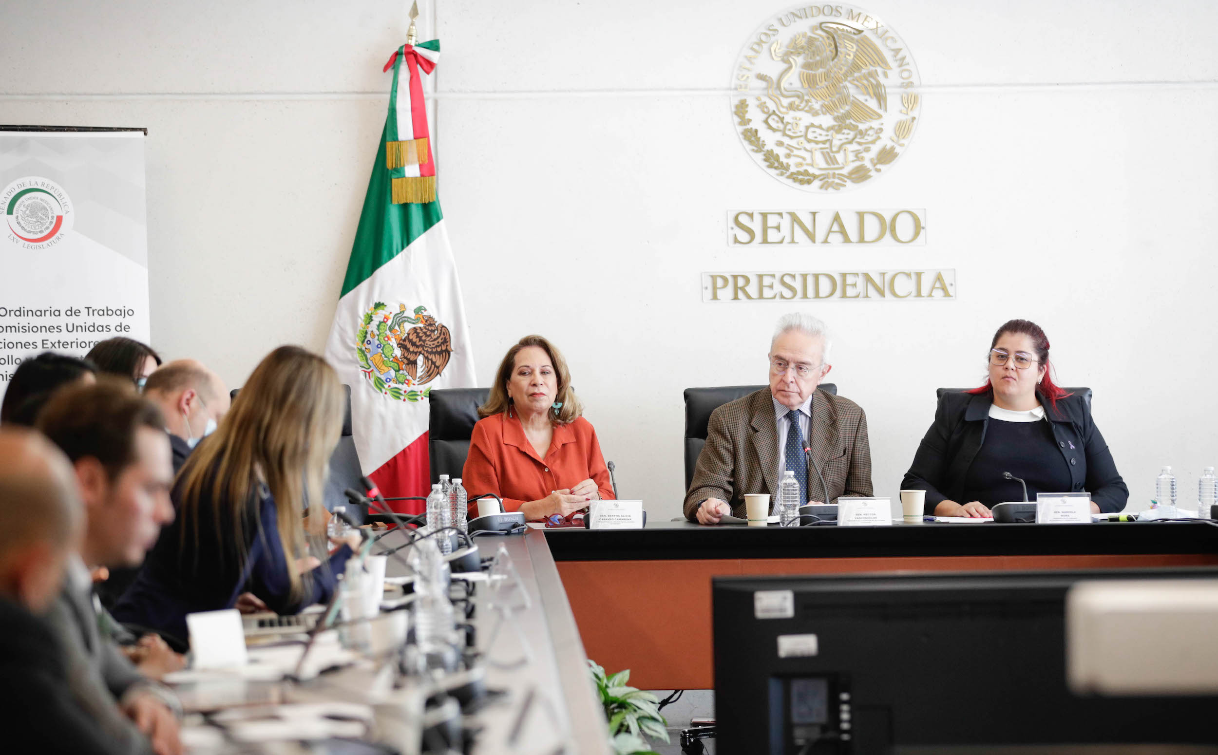 Comisiones de Relaciones Exteriores Desarrollo Bienestar Social y Organismos Internacionales-