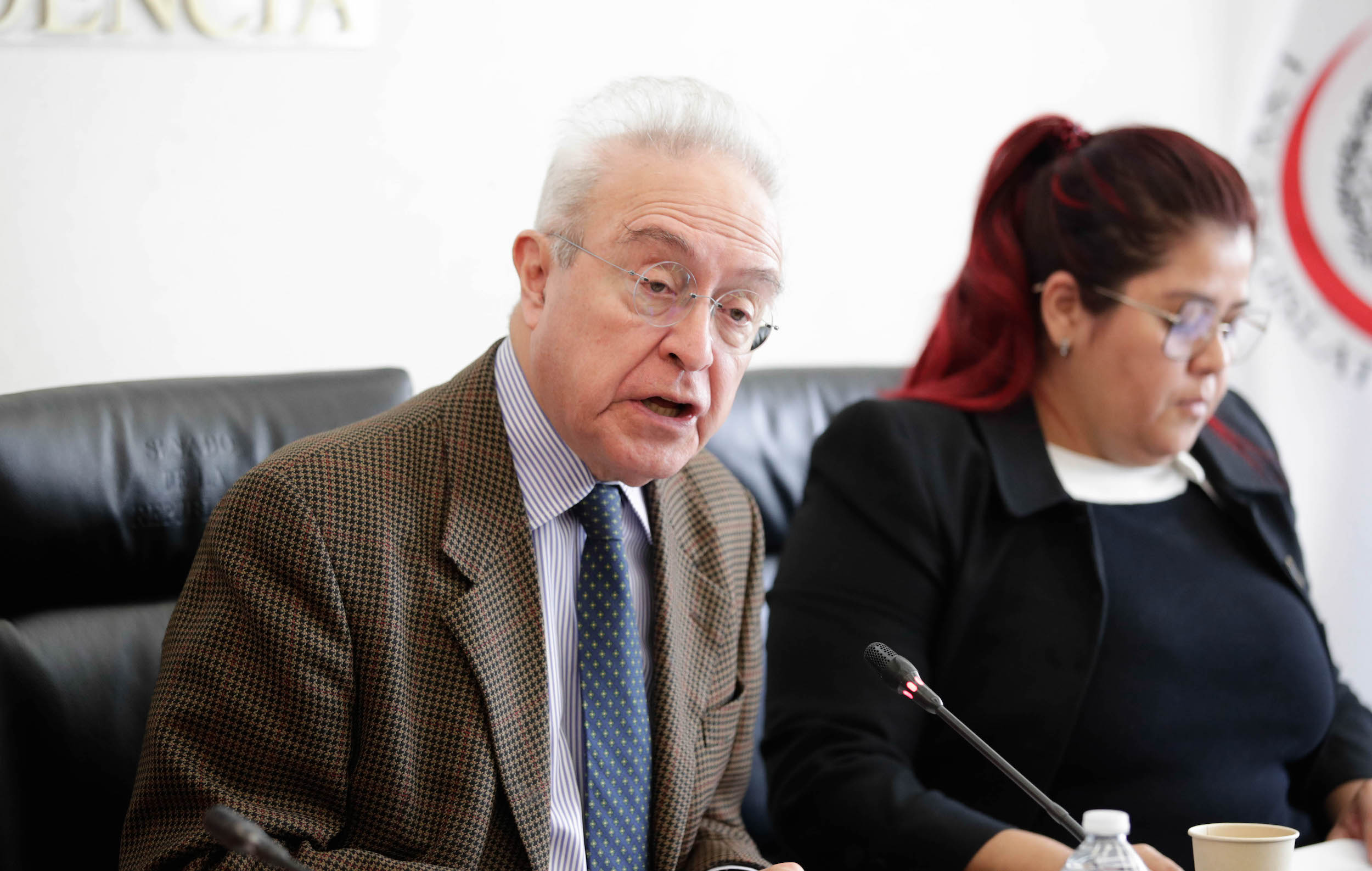 Comisiones de Relaciones Exteriores Desarrollo Bienestar Social y Organismos Internacionales-