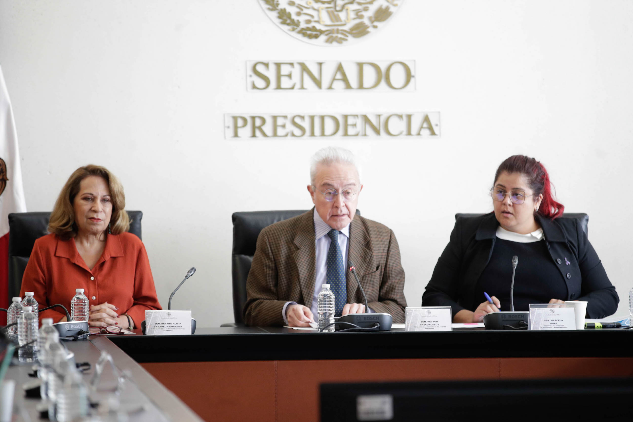 Comisiones de Relaciones Exteriores Desarrollo Bienestar Social y Organismos Internacionales-