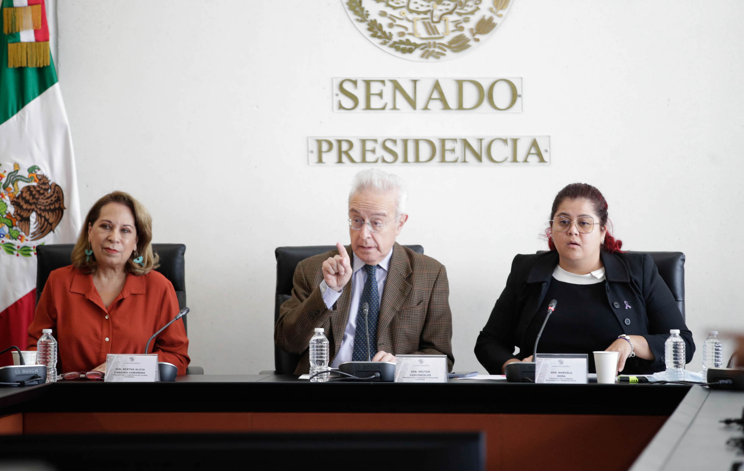 Comisiones de Relaciones Exteriores Desarrollo Bienestar Social y Organismos Internacionales-