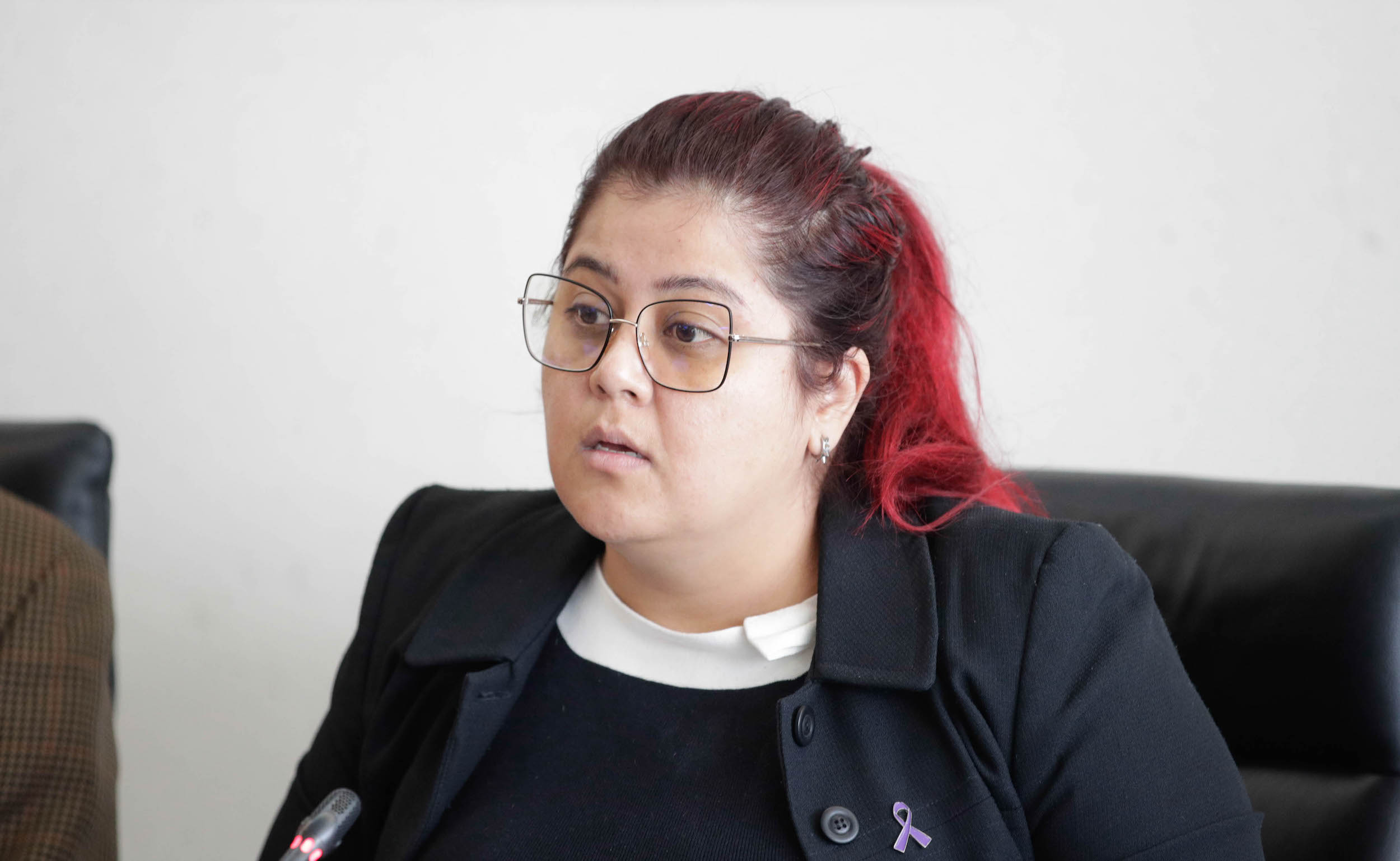 Comisiones de Relaciones Exteriores Desarrollo Bienestar Social y Organismos Internacionales-