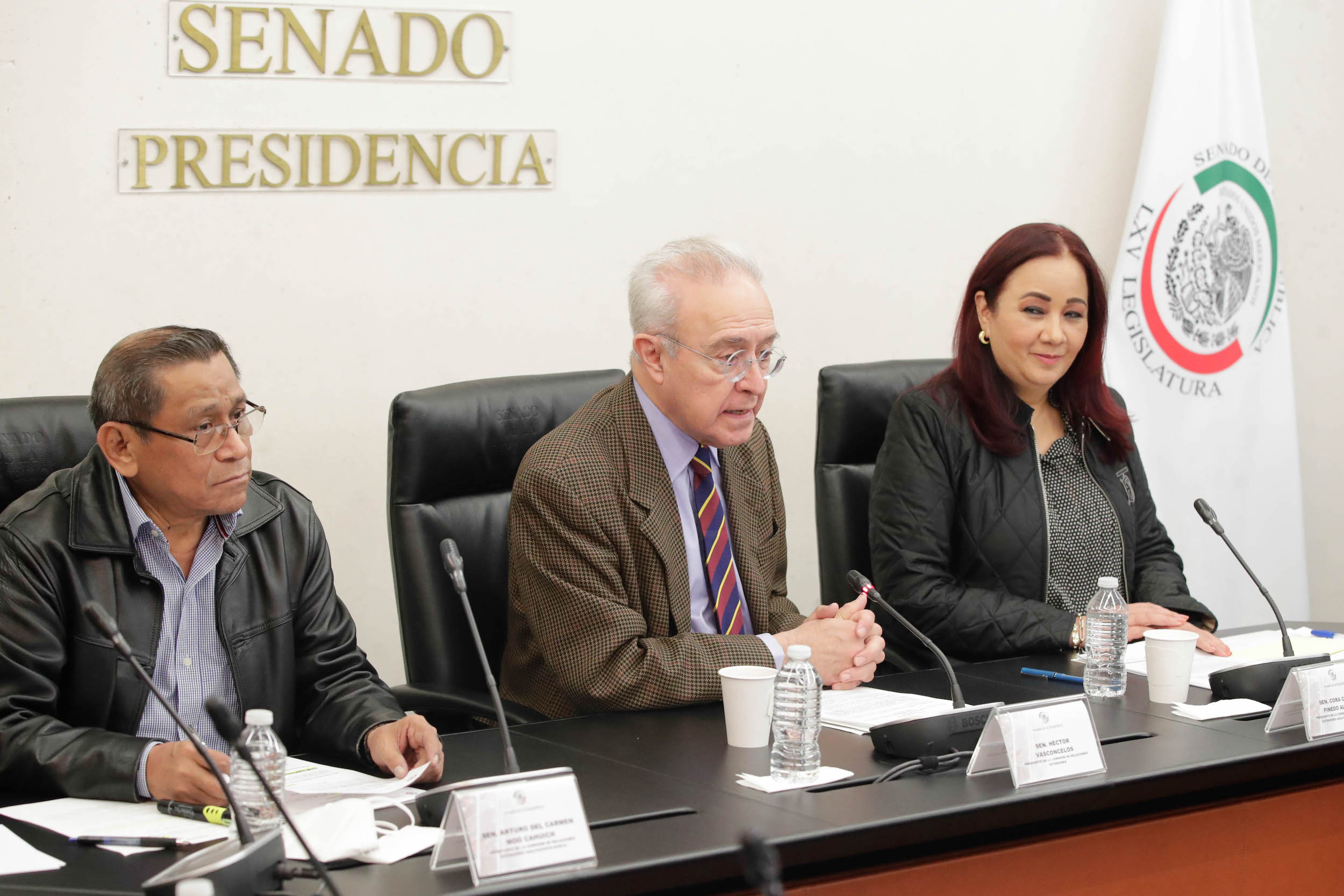 Com Rel Ext Asia Pacifico Africa y Cultura-