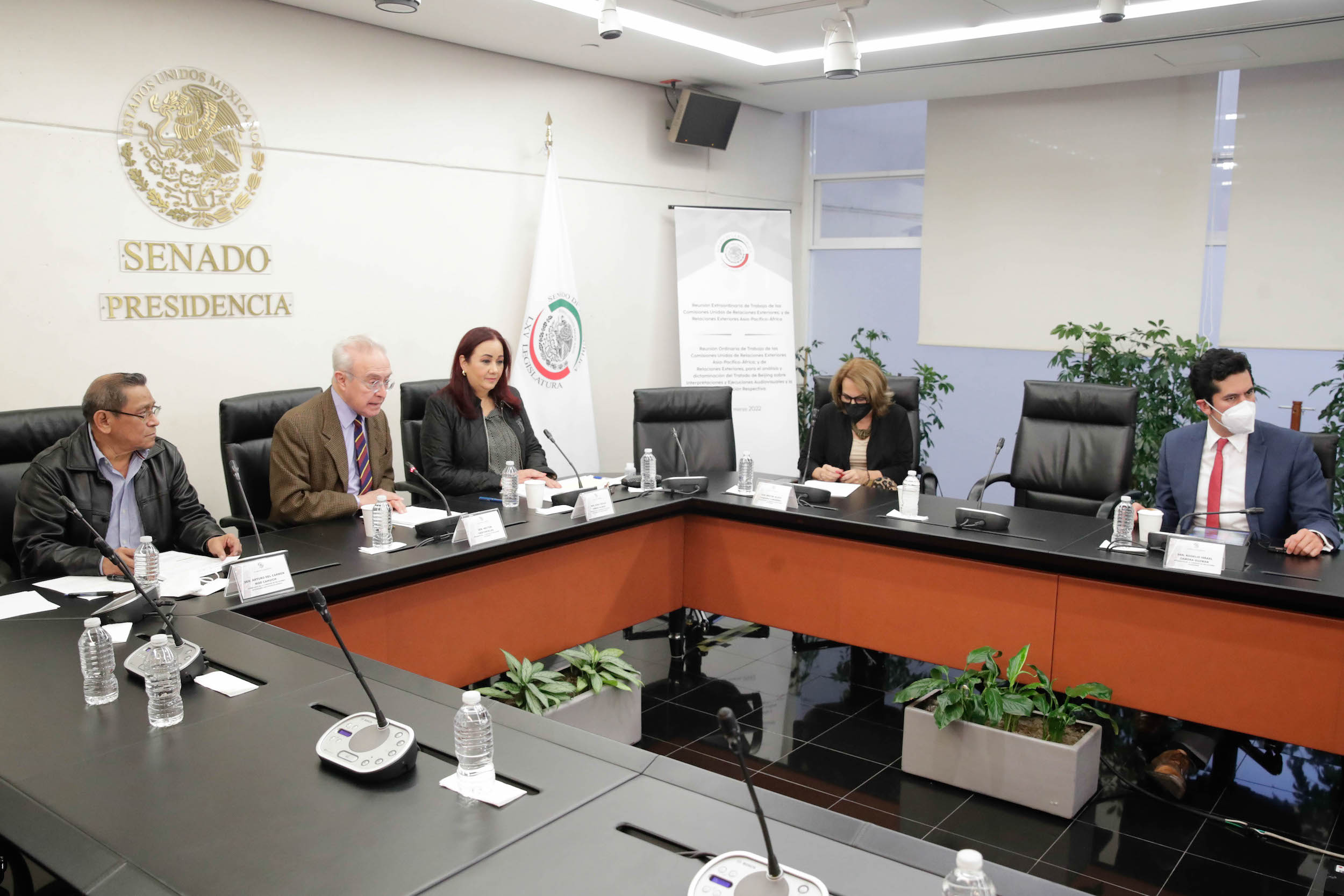 Com Rel Ext Asia Pacifico Africa y Cultura-