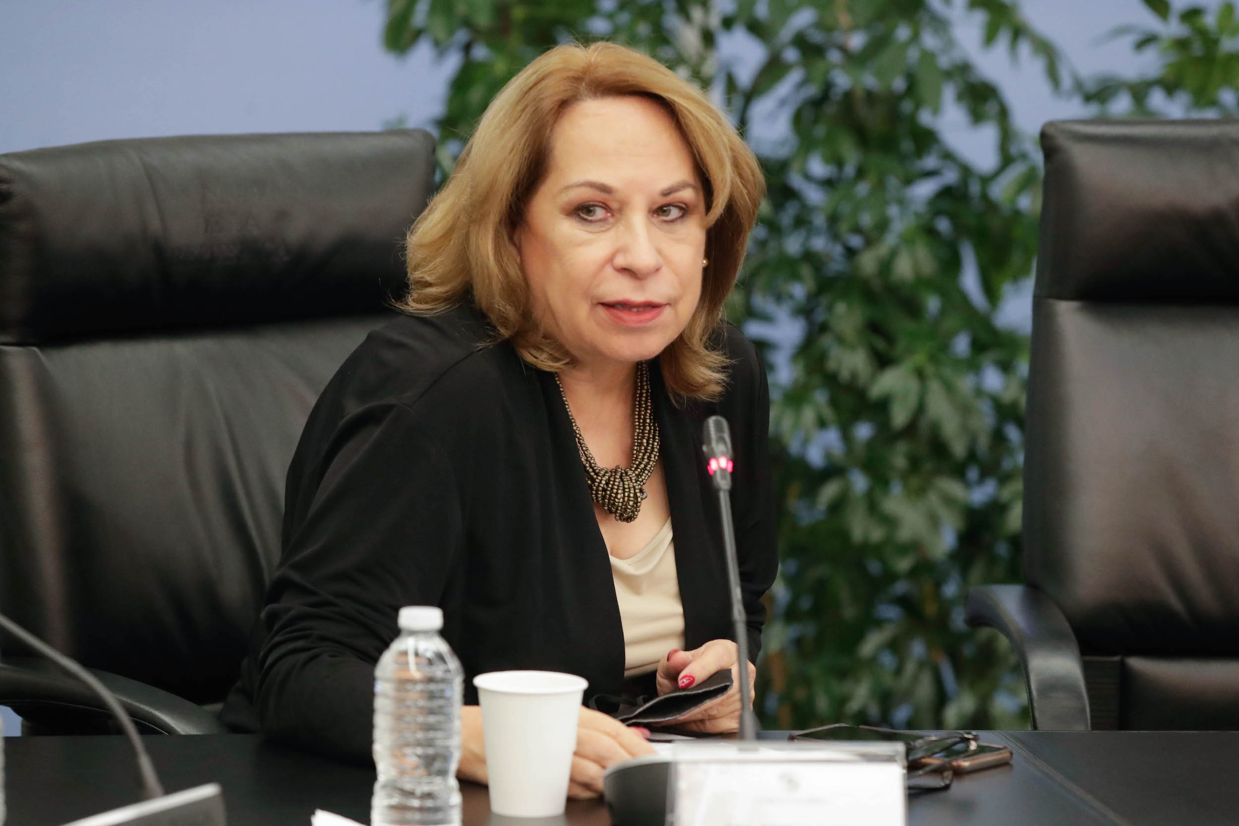 Com Rel Ext Asia Pacifico Africa y Cultura-
