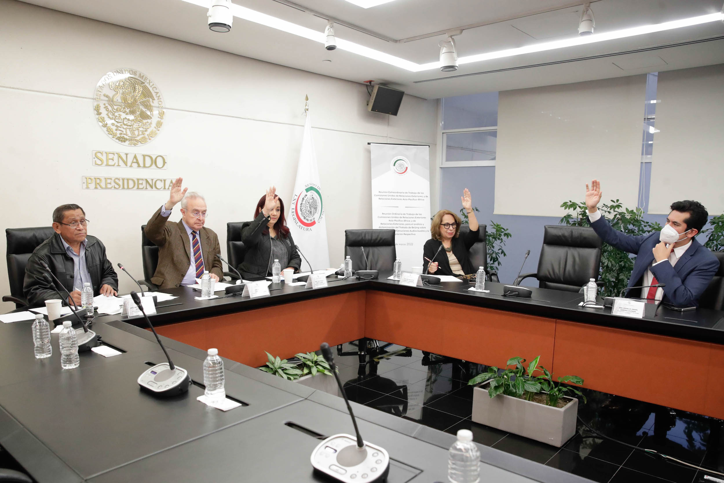 Com Rel Ext Asia Pacifico Africa y Cultura-
