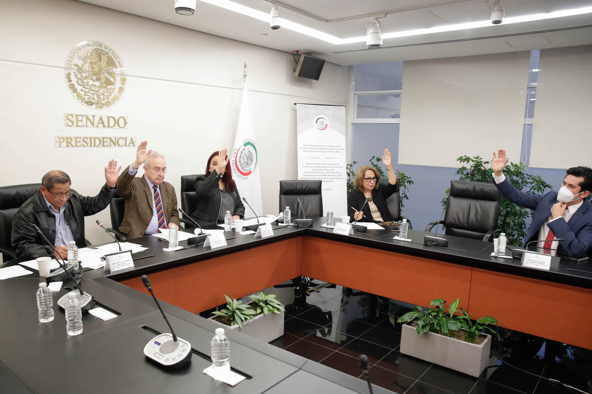Com Rel Ext Asia Pacifico Africa y Cultura-