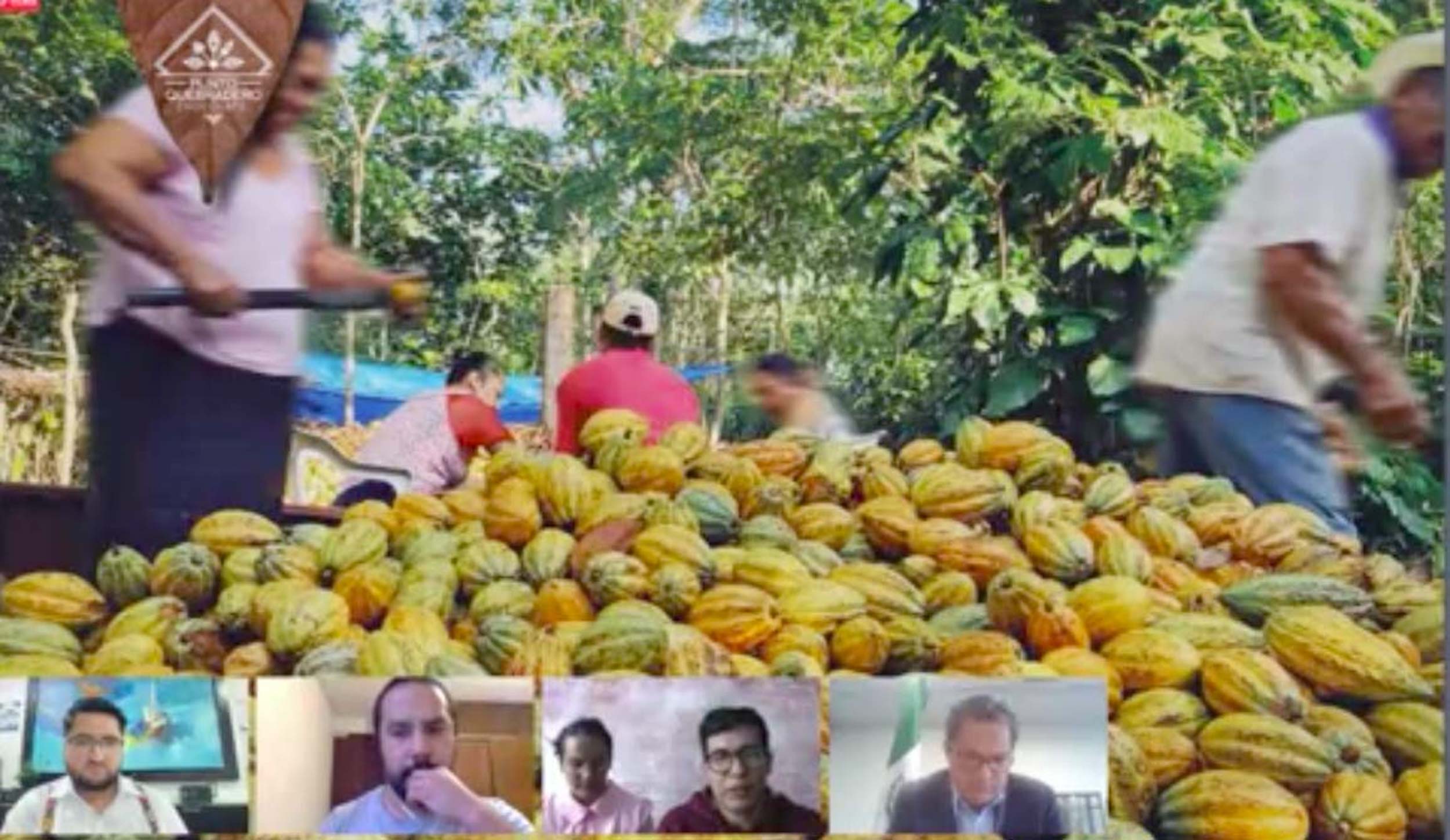 Foro Situacioin del cacao y chocolate en Meixico y su importancia en el relevo generacional