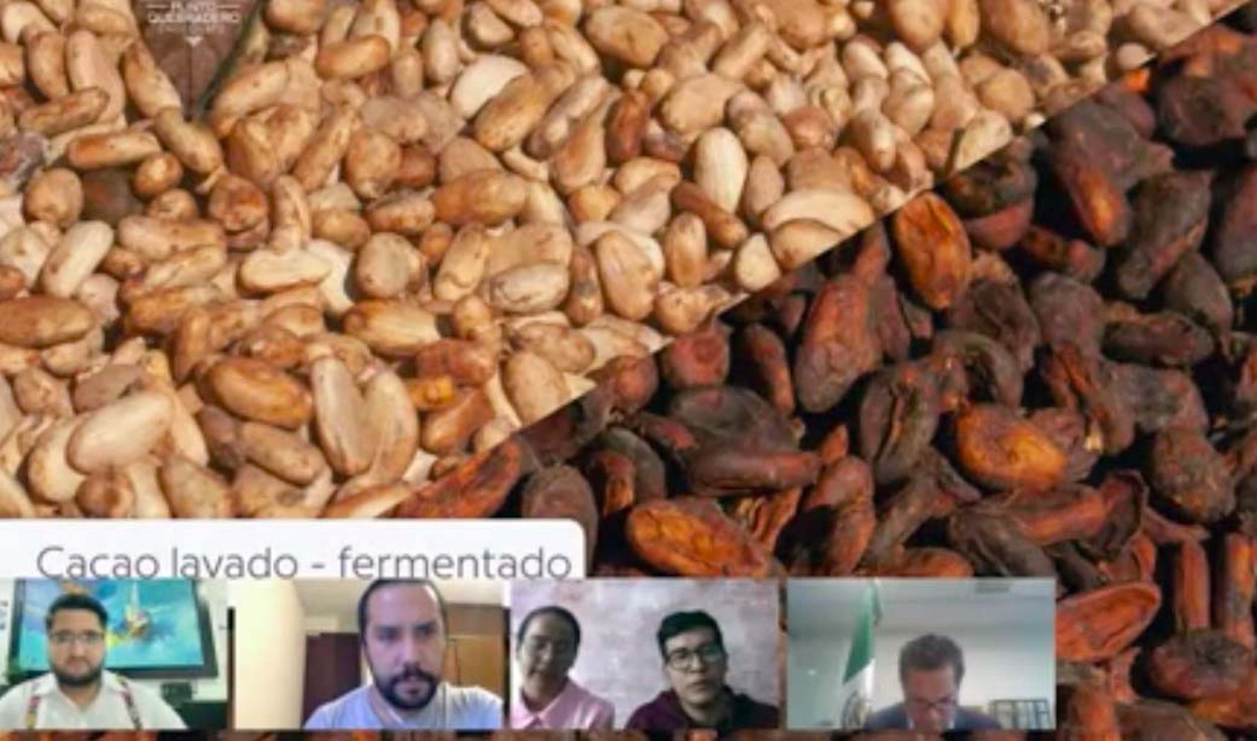 Foro Situacioin del cacao y chocolate en Meixico y su importancia en el relevo generacional