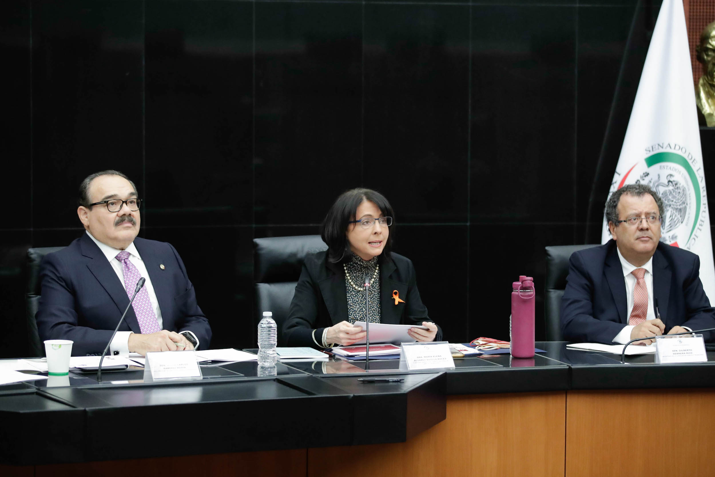 Reunioin de la Comisioin de Ciencia y Tecnologiia-
