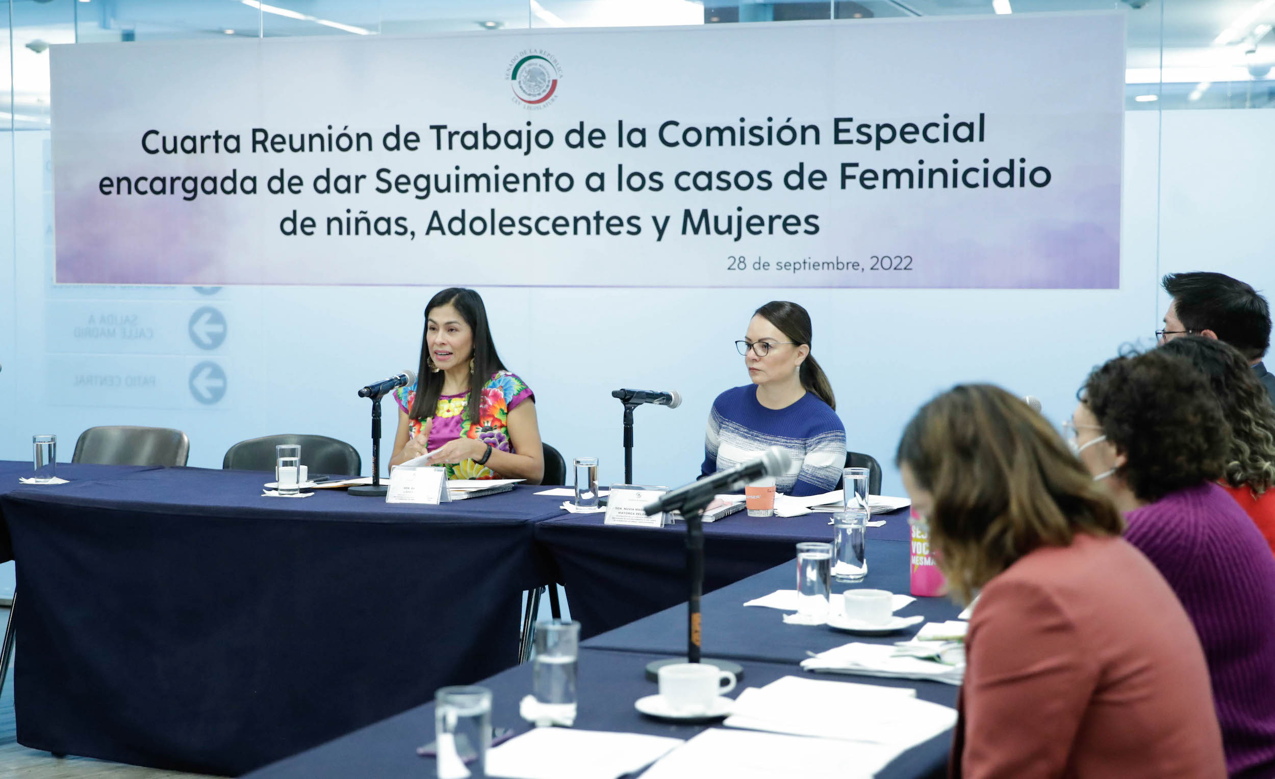 Comisioin especial de casos de feminicidio de ninas y adolescentes-