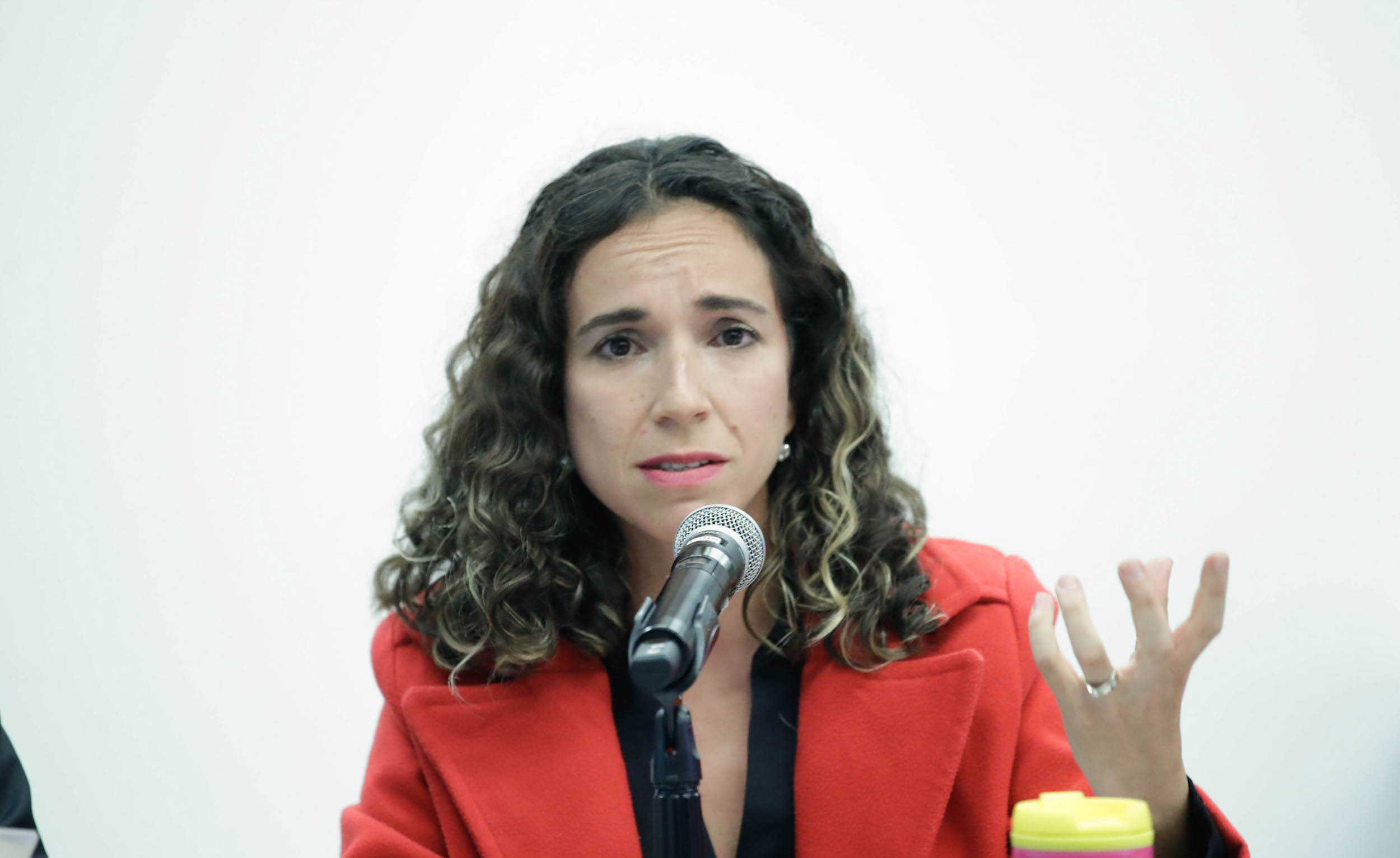 Comisioin especial de casos de feminicidio de ninas y adolescentes-