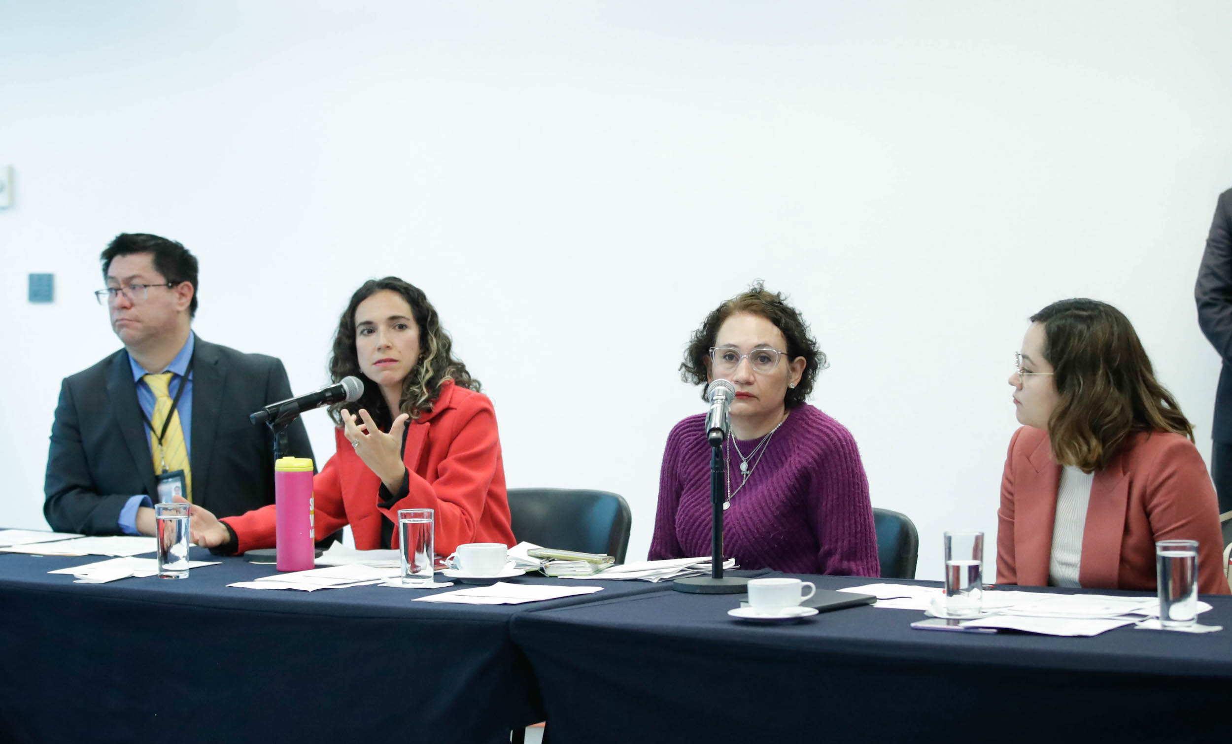 Comisioin especial de casos de feminicidio de ninas y adolescentes-