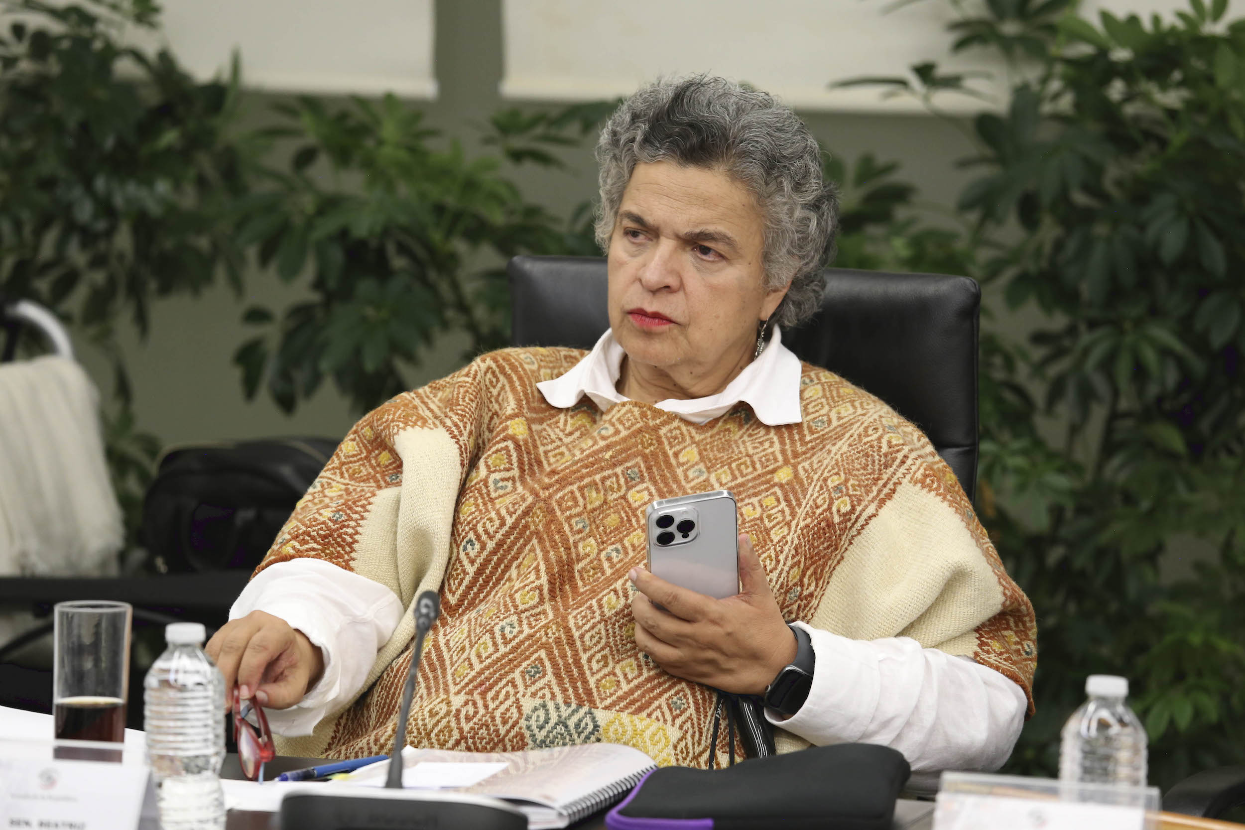 Reunion Comisiones Unidas de Relaciones Exteriores-