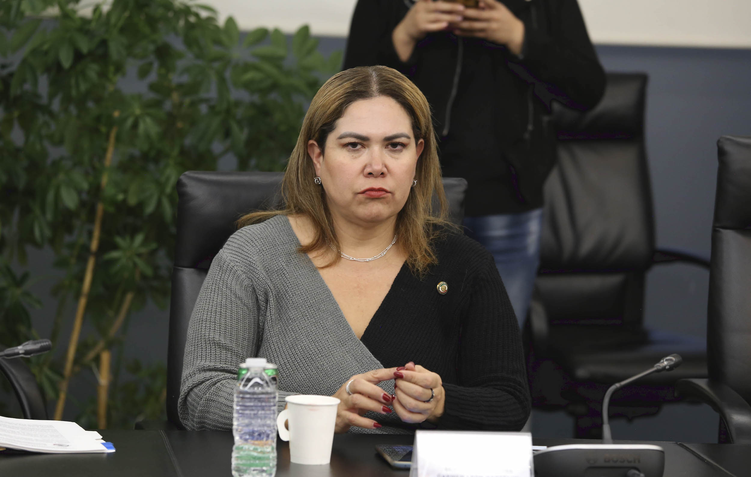Reunion Comisiones Unidas de Relaciones Exteriores-
