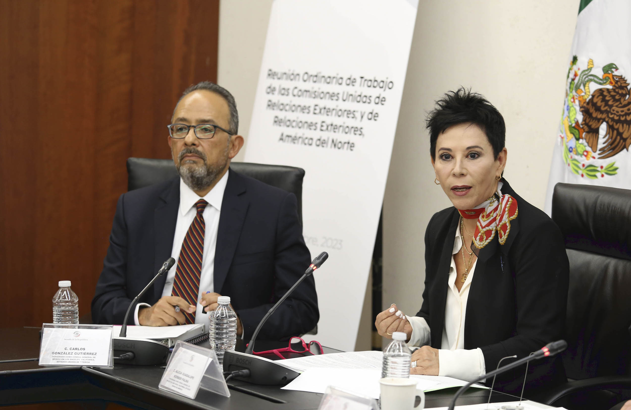 Reunion Comisiones Unidas de Relaciones Exteriores-