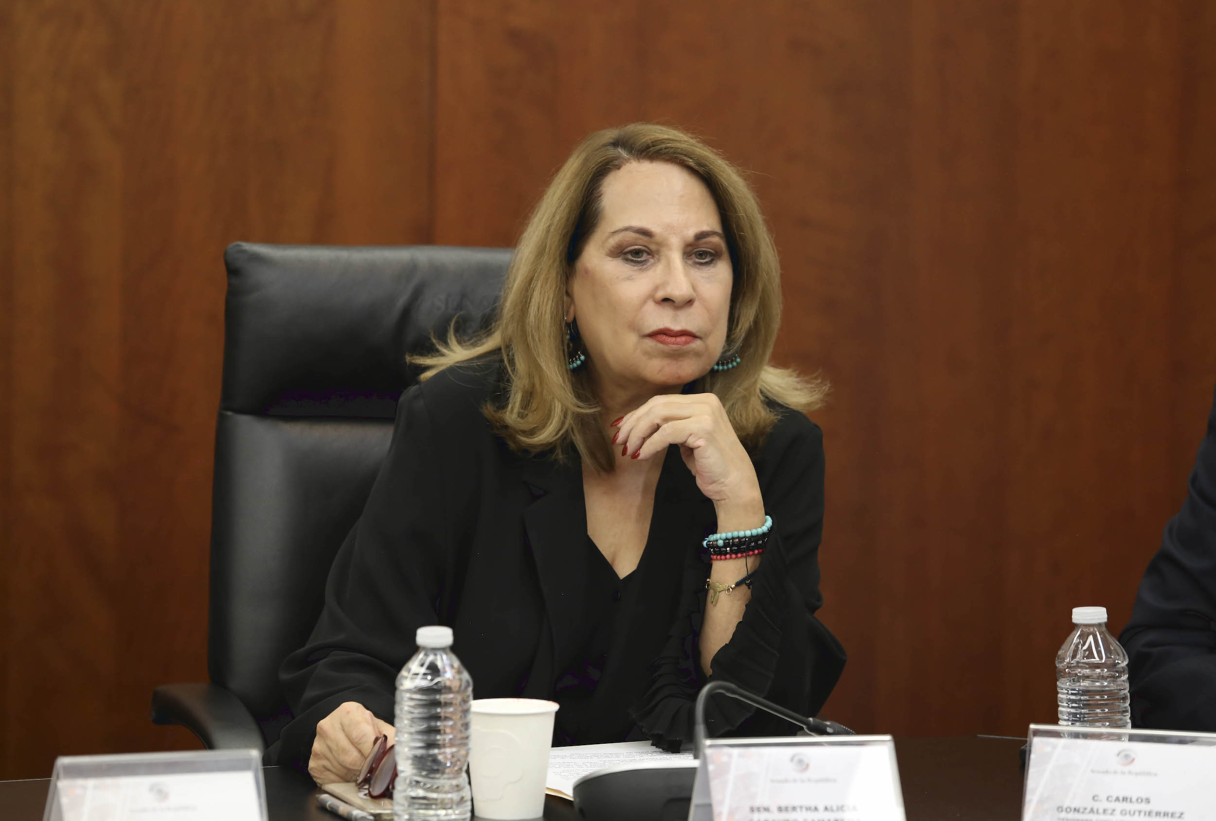 Reunion Comisiones Unidas de Relaciones Exteriores-