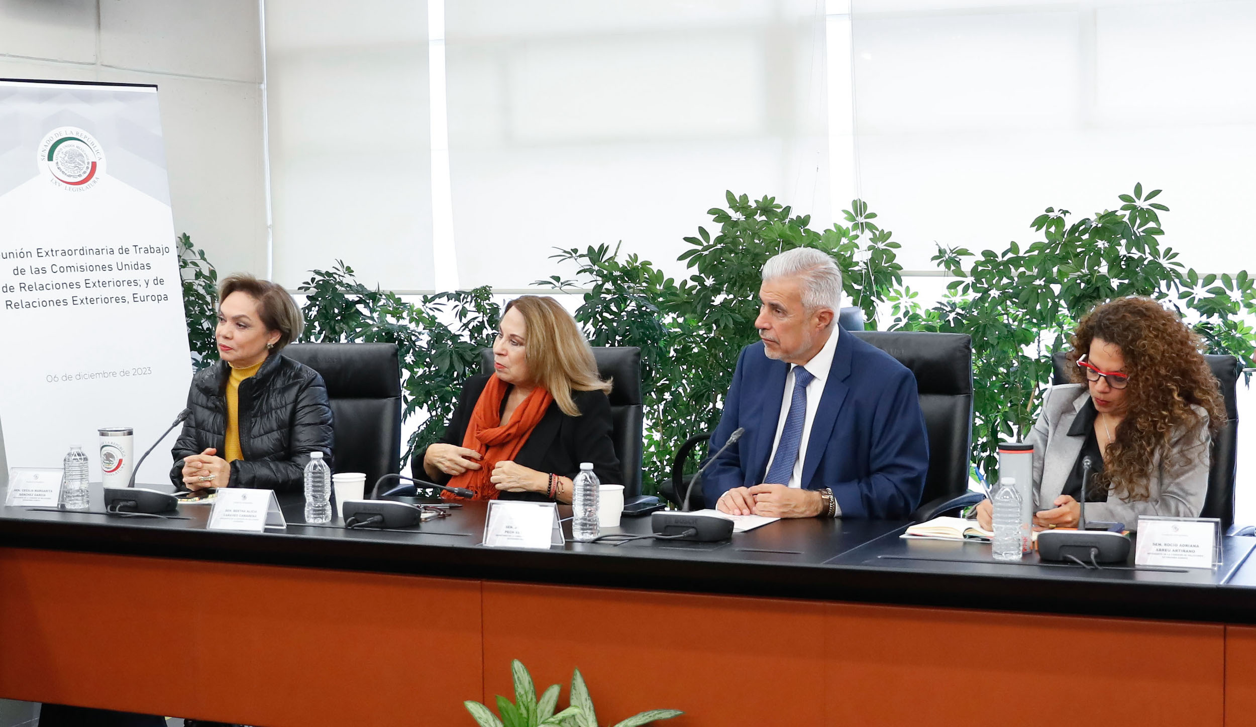 Comisiones unidas de Relaciones Exteriores y de Relaciones Exteriores Europa-