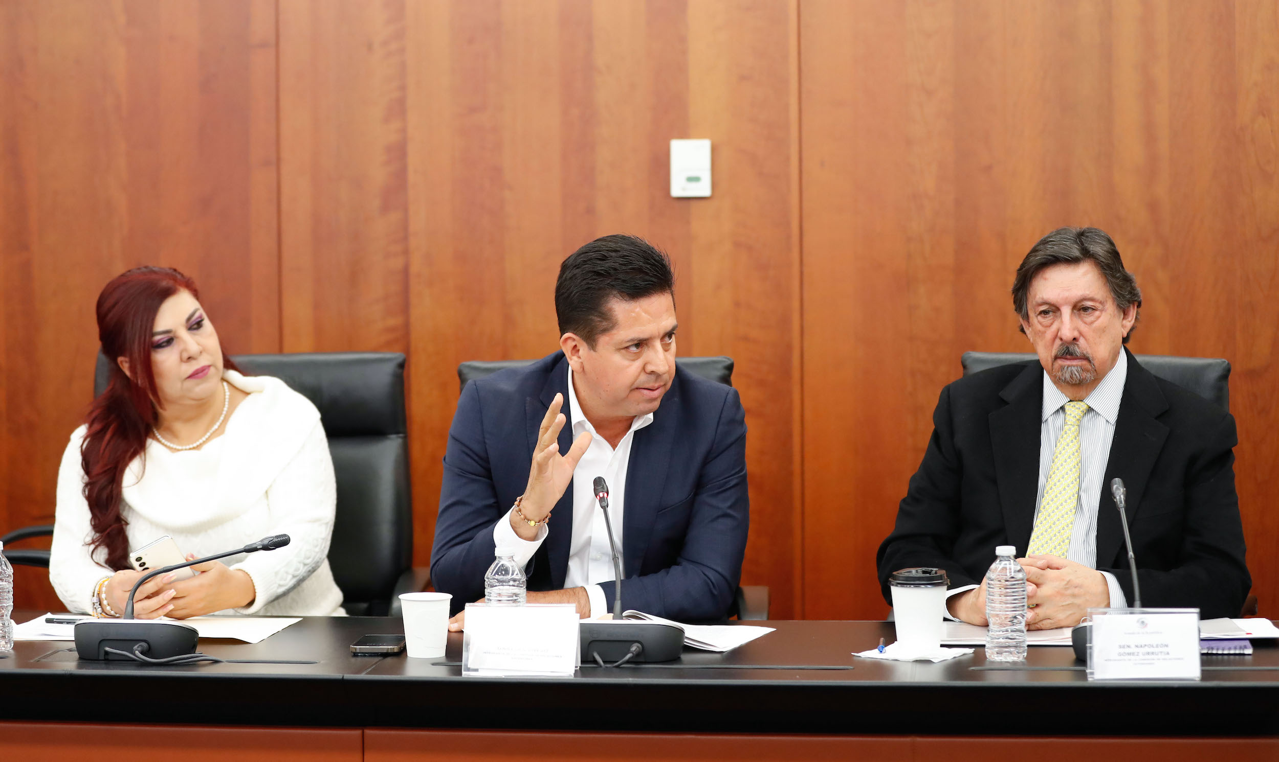 Comisiones unidas de Relaciones Exteriores y de Relaciones Exteriores Europa-