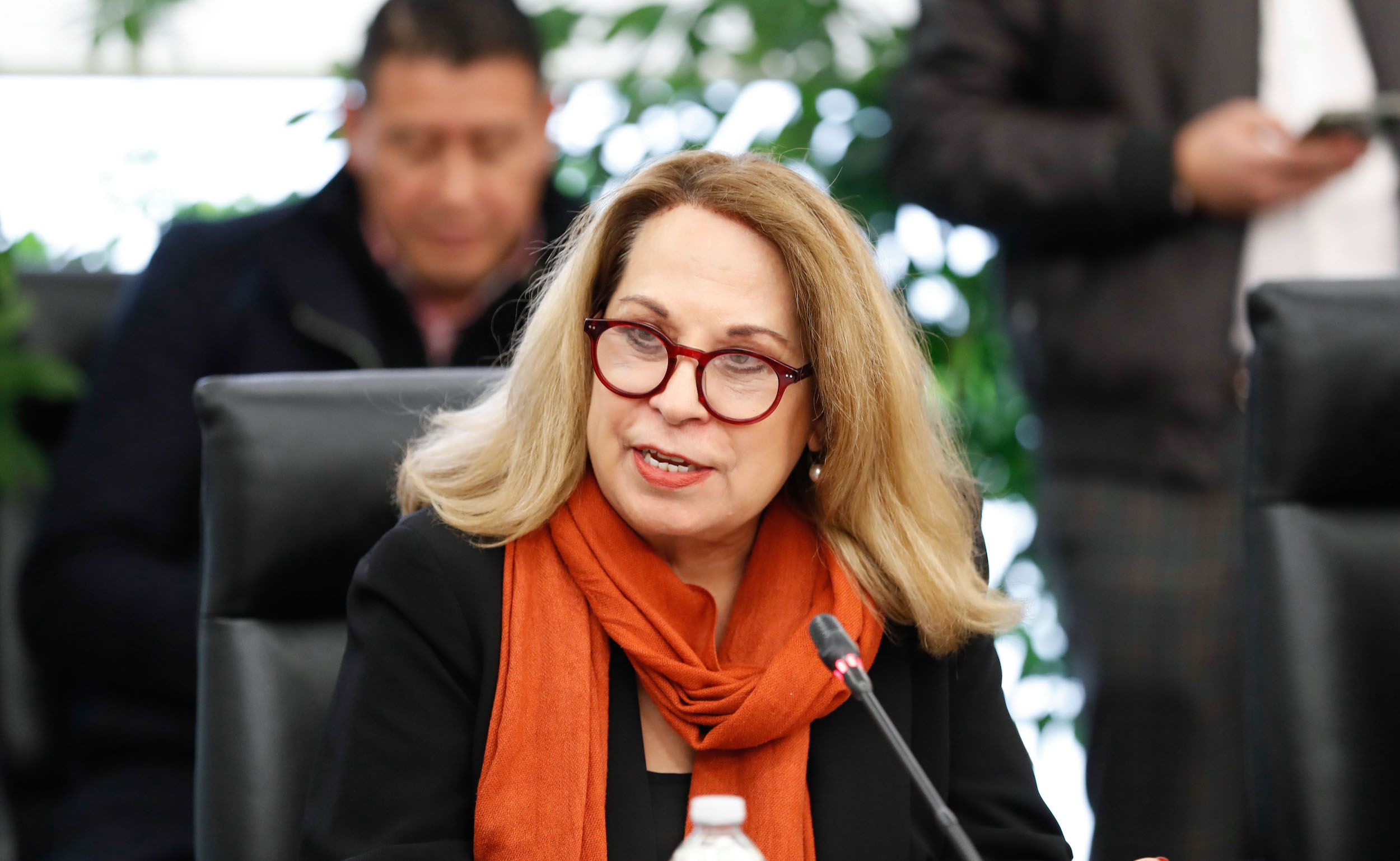 Comisiones unidas de Relaciones Exteriores y de Relaciones Exteriores Europa-