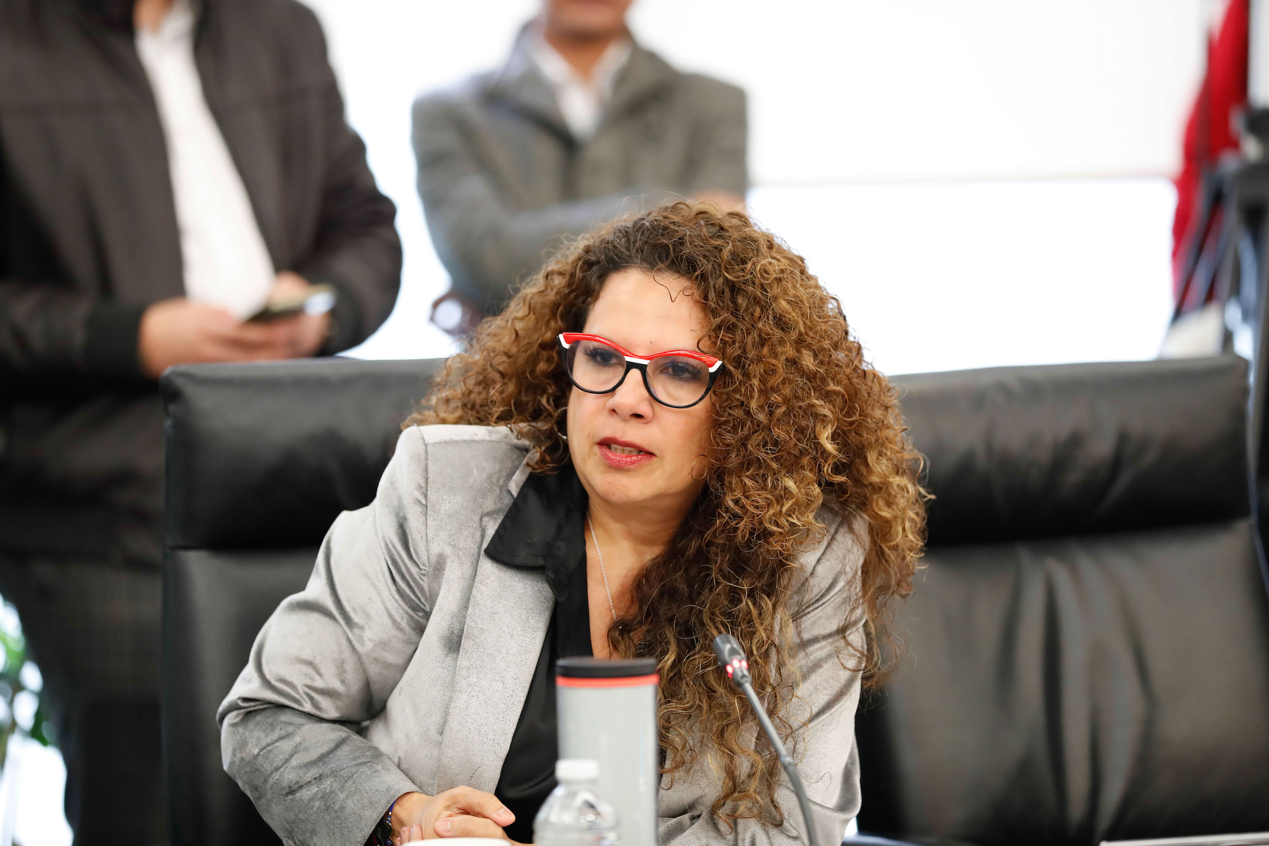 Comisiones unidas de Relaciones Exteriores y de Relaciones Exteriores Europa-
