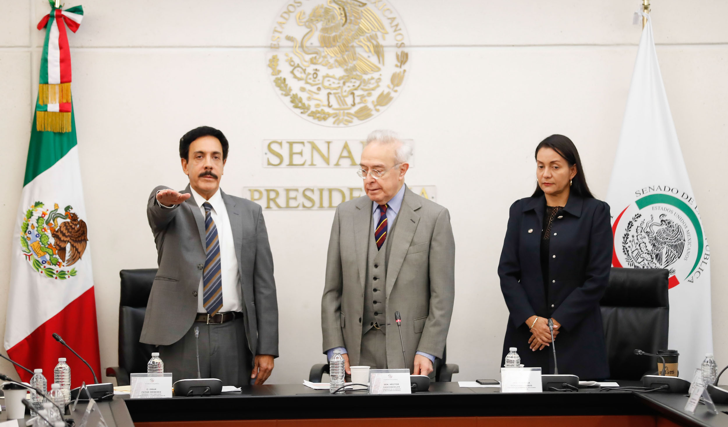 Comisiones unidas de Relaciones Exteriores y de Relaciones Exteriores Europa-