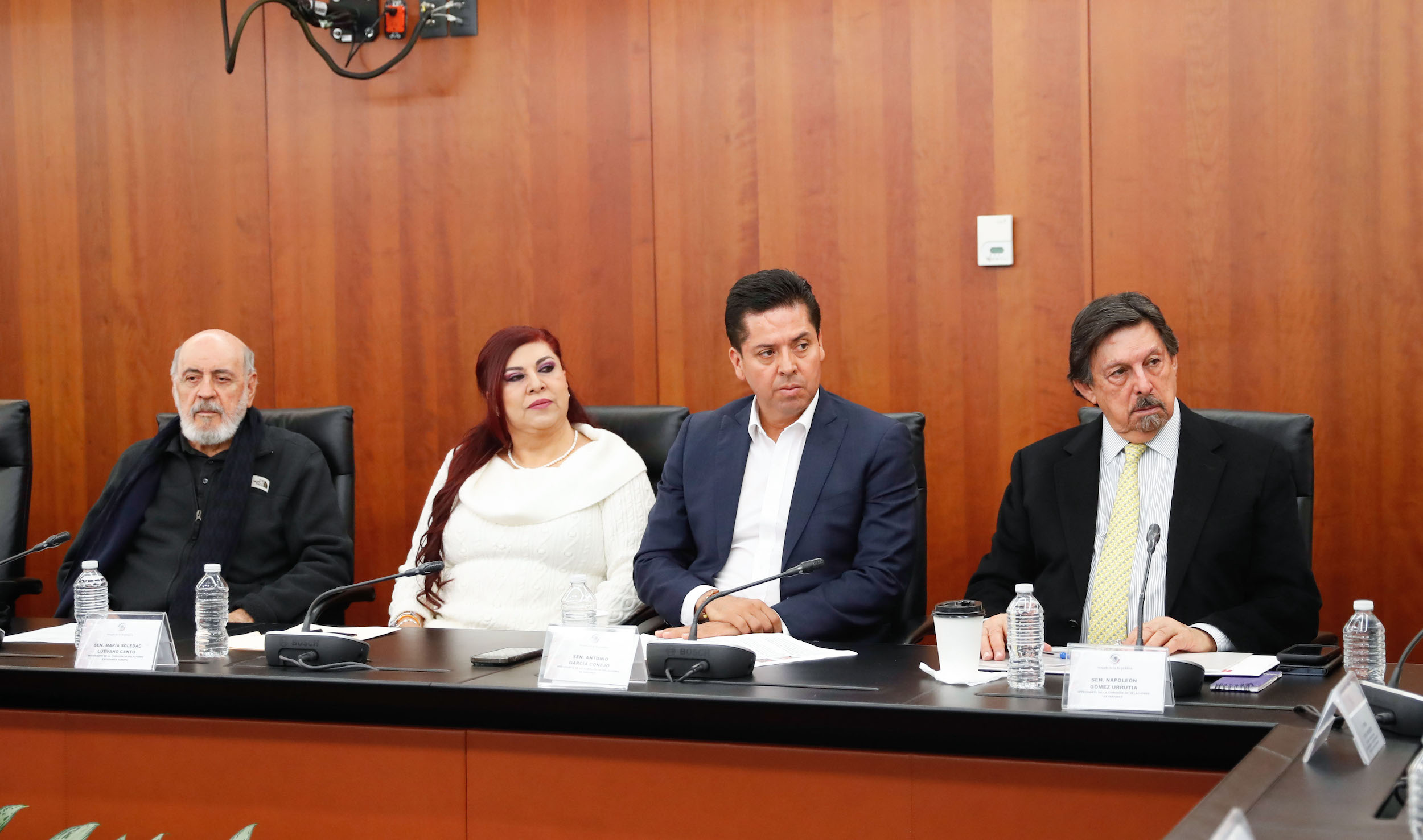 Comisiones unidas de Relaciones Exteriores y de Relaciones Exteriores Europa-