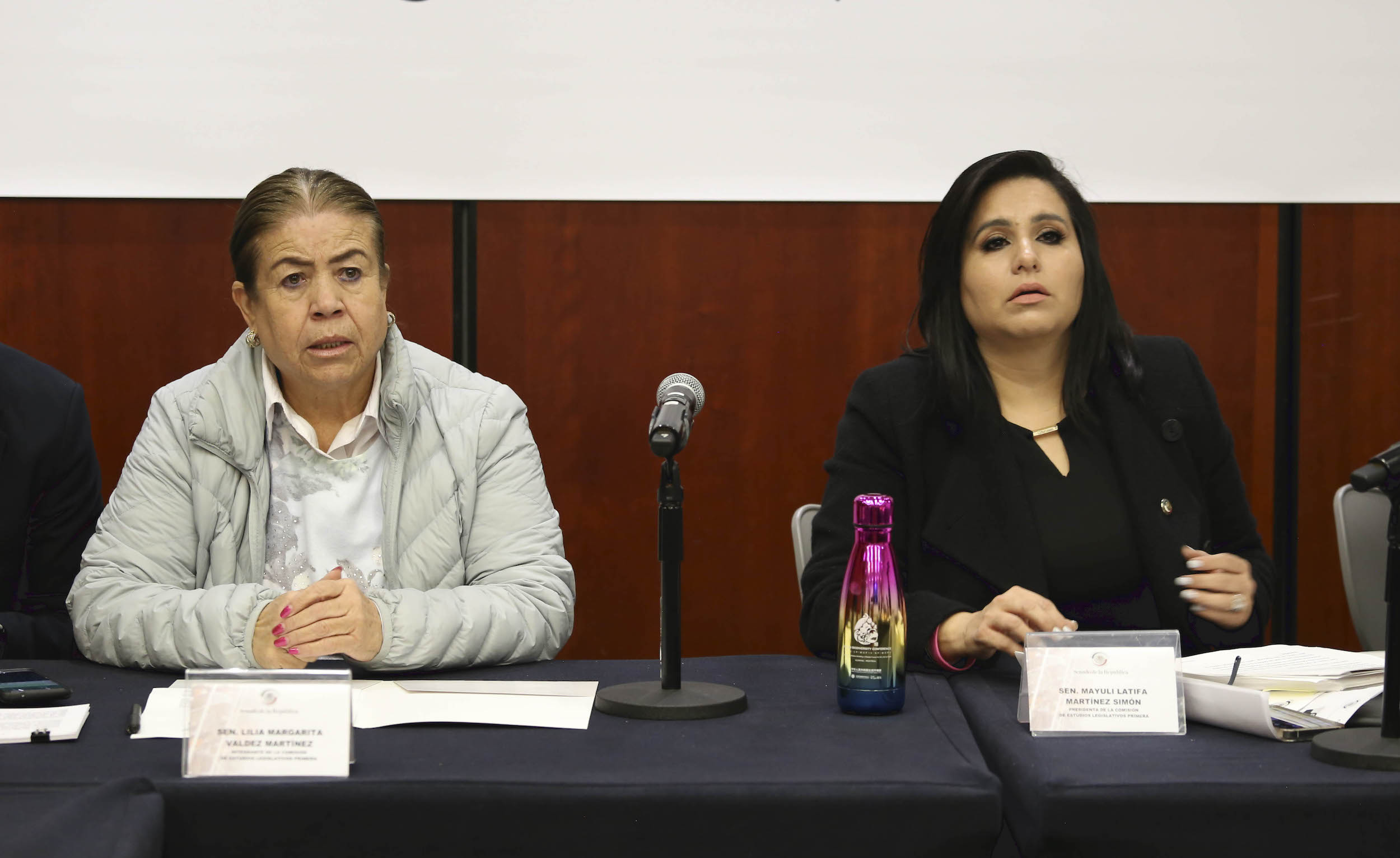 Reunion de la Comision de Estudios Legislativos Primera-