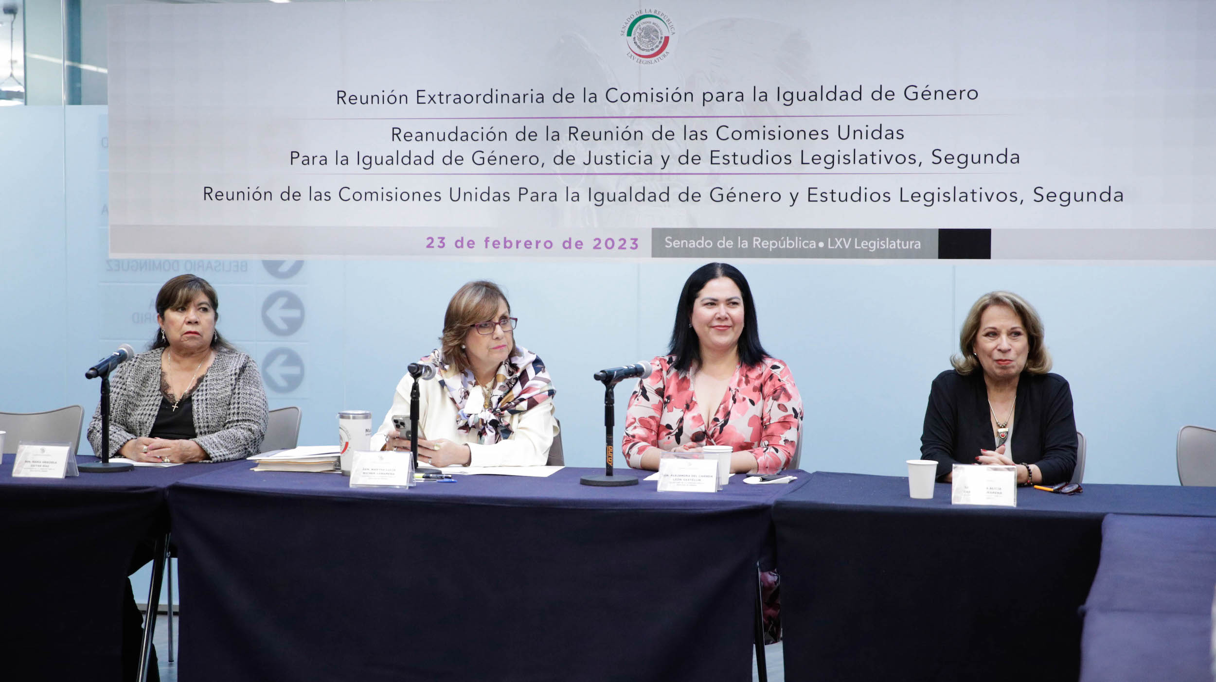 Reunion de la Comision para la Igualdad de Genero-