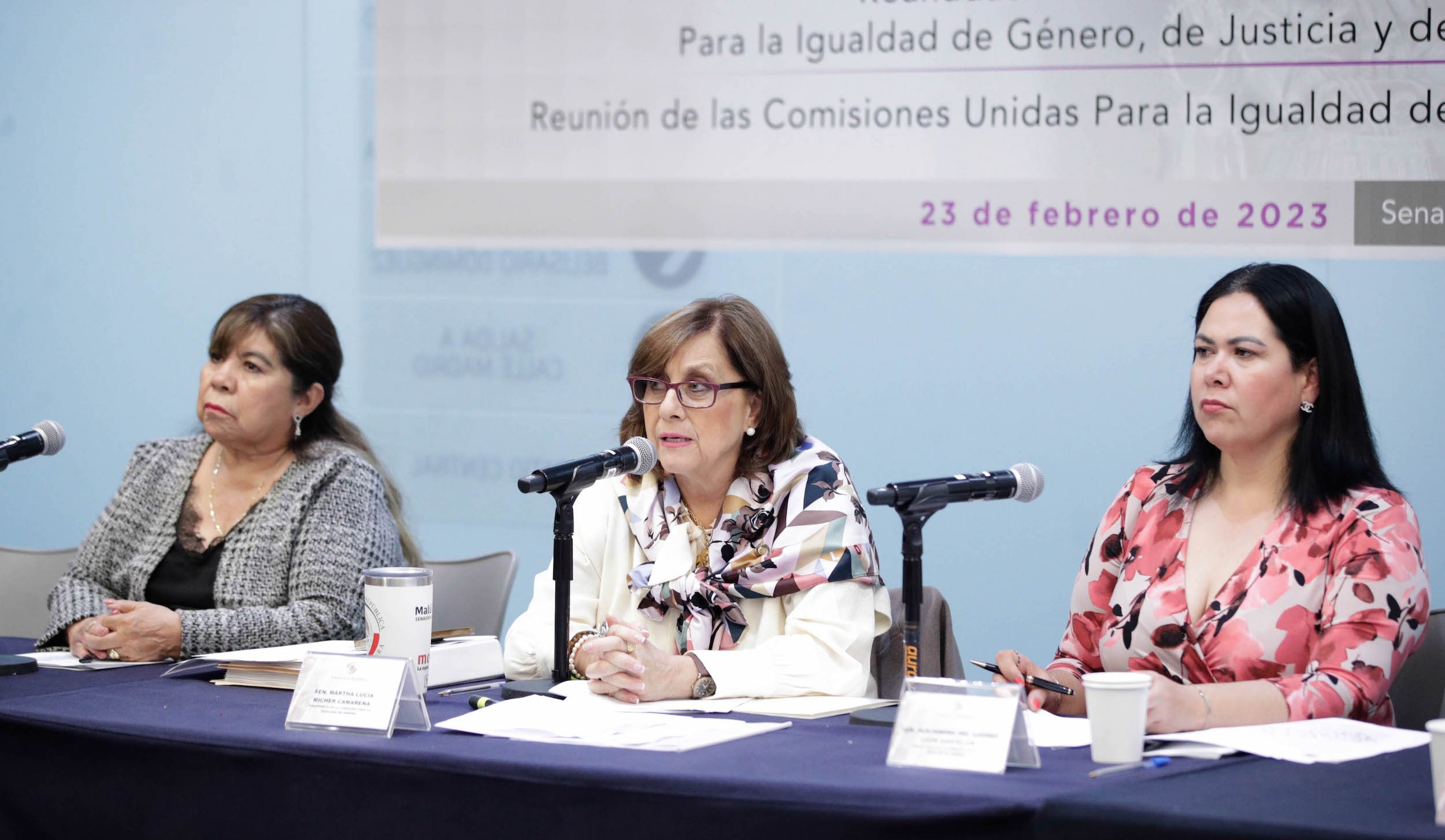 Reunion de la Comision para la Igualdad de Genero-