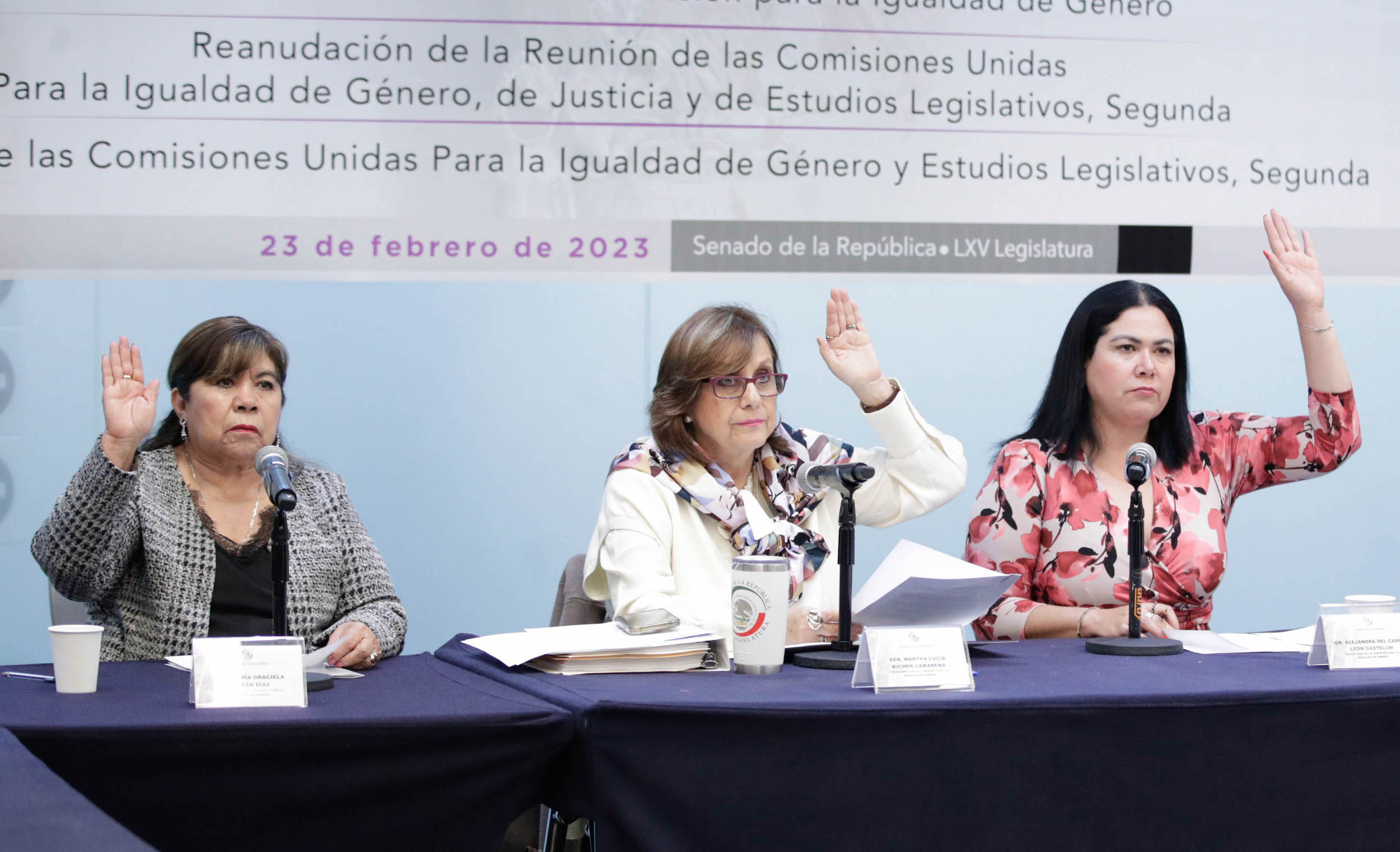 Reunion de la Comision para la Igualdad de Genero-