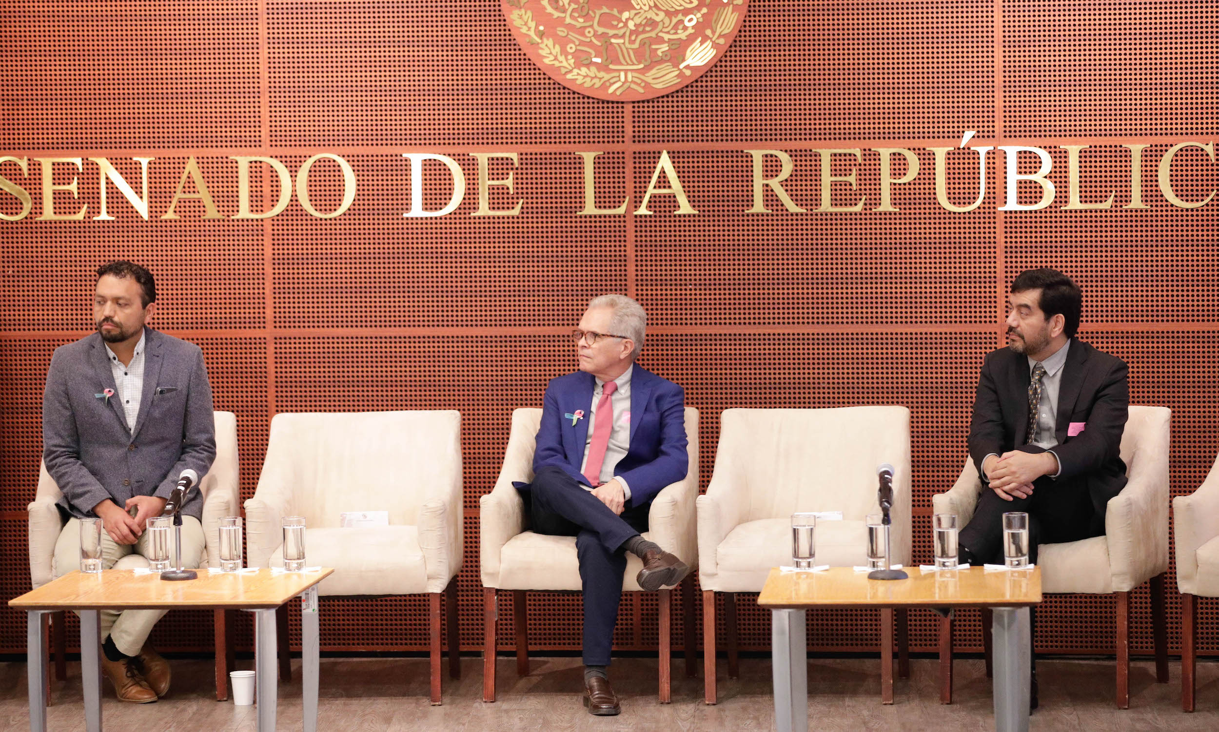 Quinto foro nacional Panorama de las enfermedades raras en Meixico-