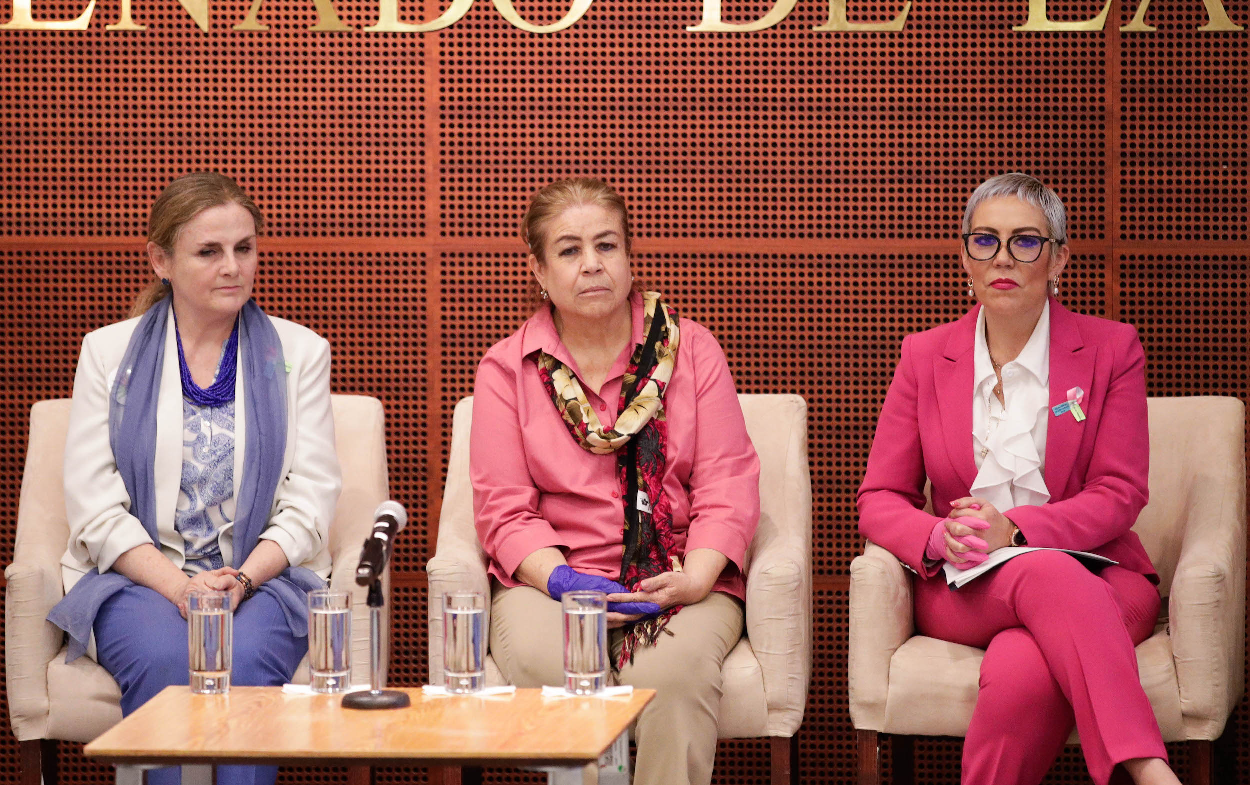 Quinto foro nacional Panorama de las enfermedades raras en Meixico-