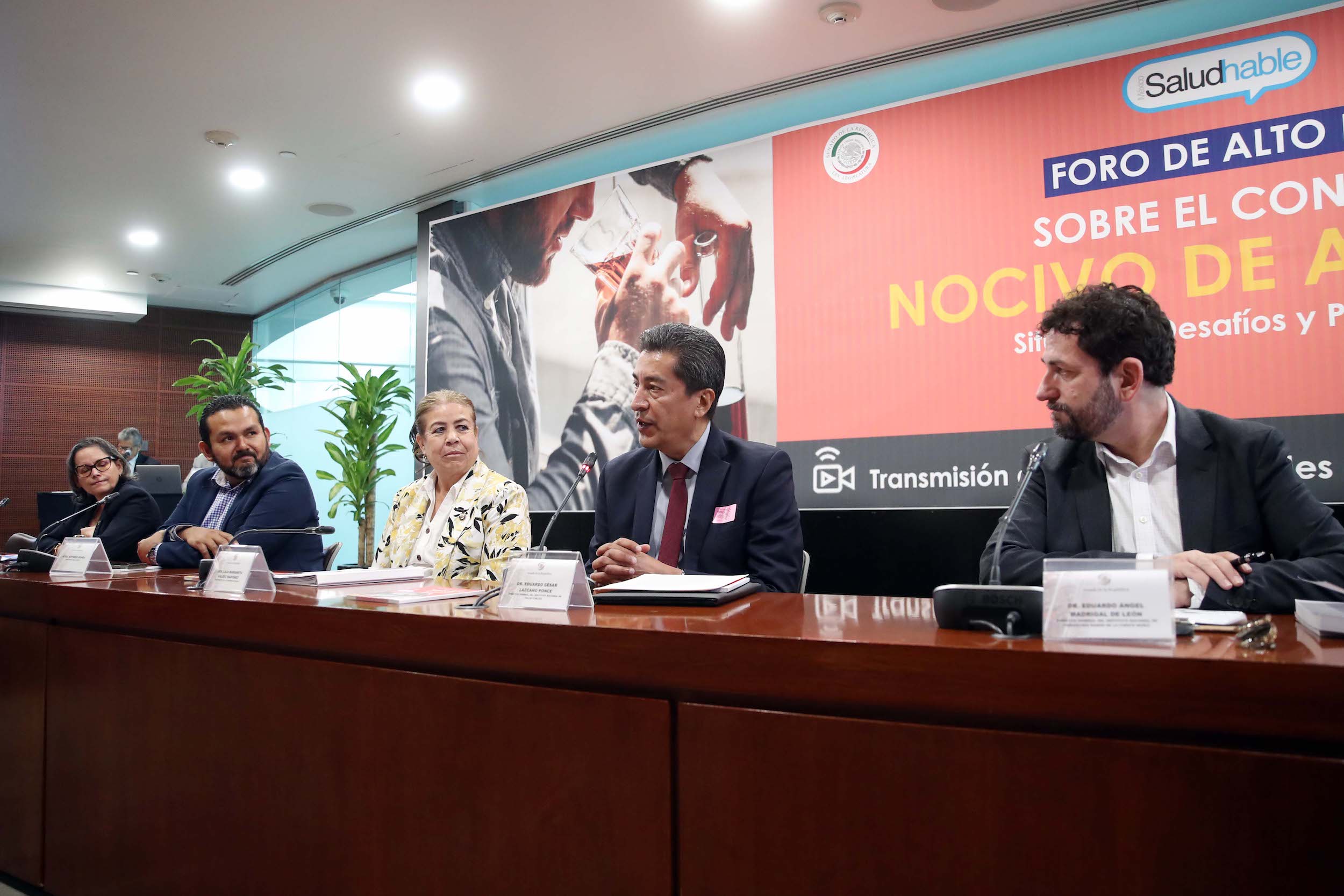 Foro de Alto Nivel Sobre el Consumo Nocivo de Alcohol
