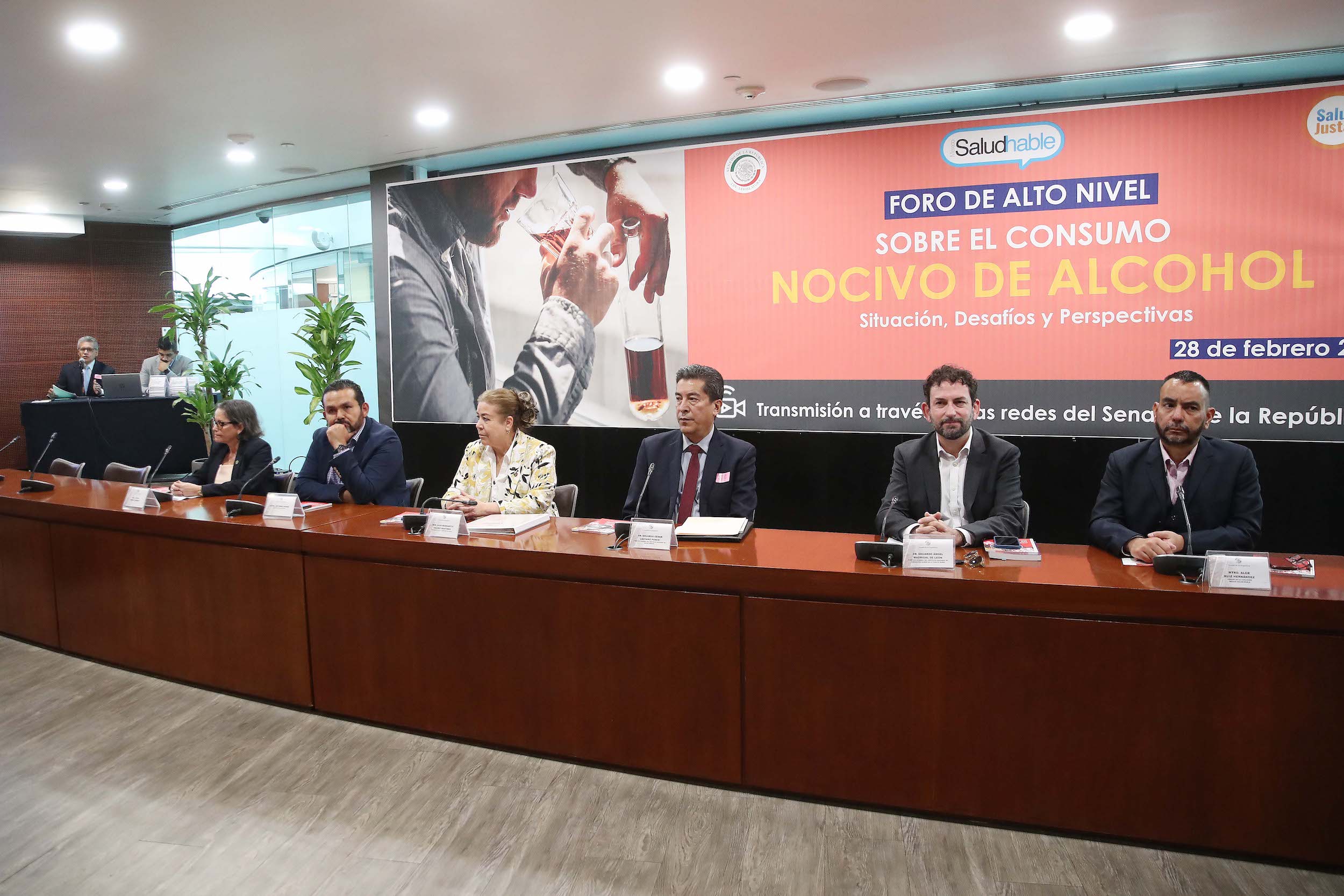 Foro de Alto Nivel Sobre el Consumo Nocivo de Alcohol
