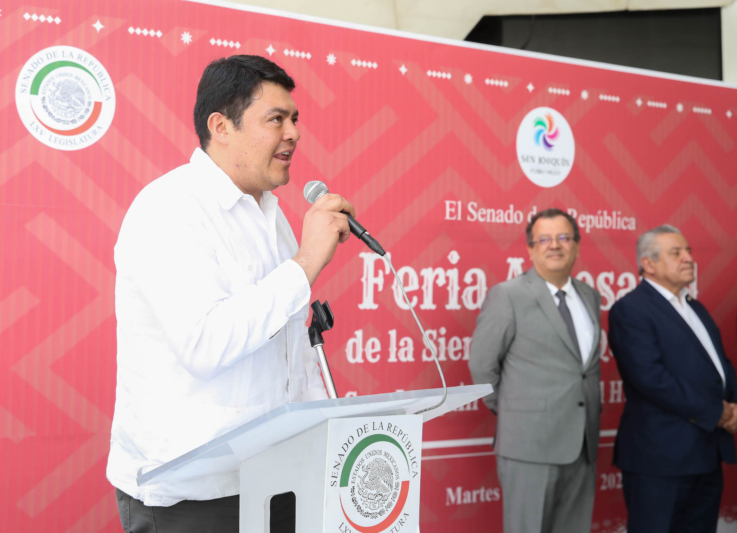 Feria Artesanal de la Sierra Gorda 1-
