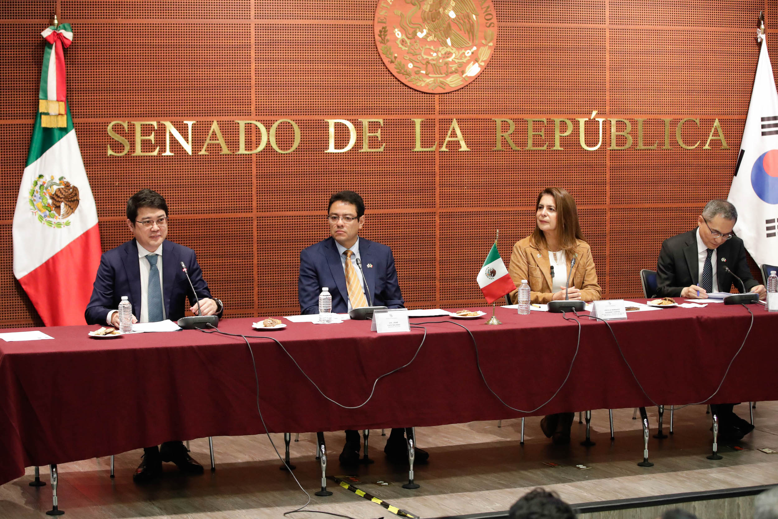 Foro TLC Mex Corea-