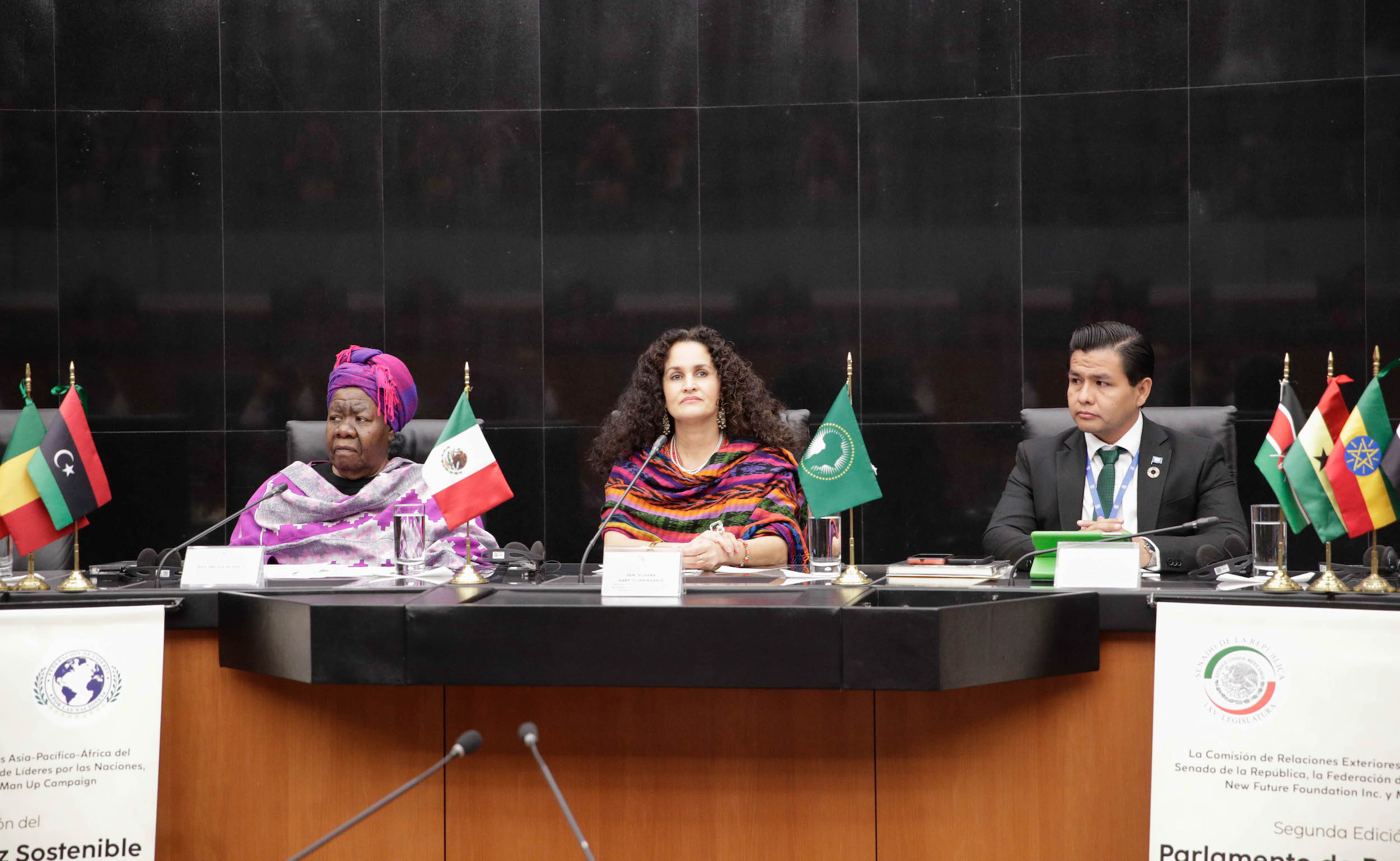 Parlamento de Paz Sostenible ante los Pueblos Originarios Meixico-Aifrica-