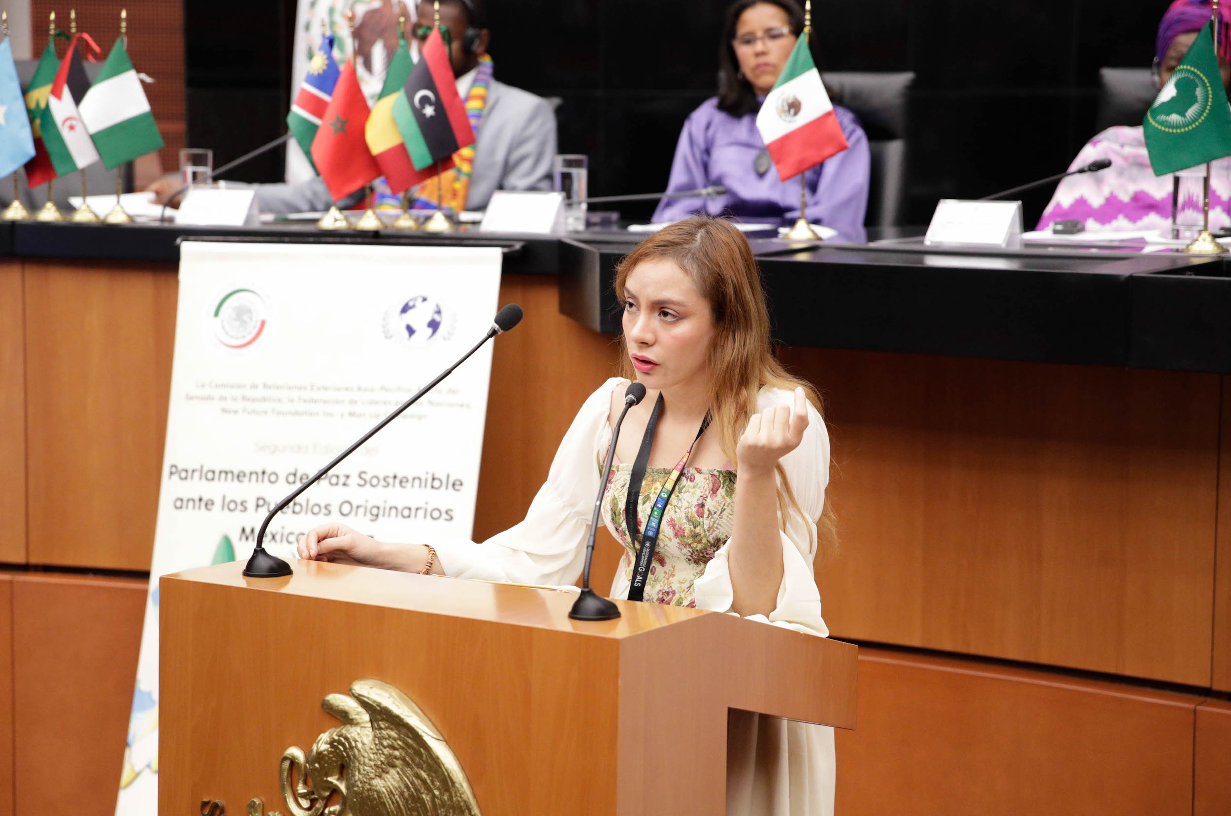 Parlamento de Paz Sostenible ante los Pueblos Originarios Meixico-Aifrica-