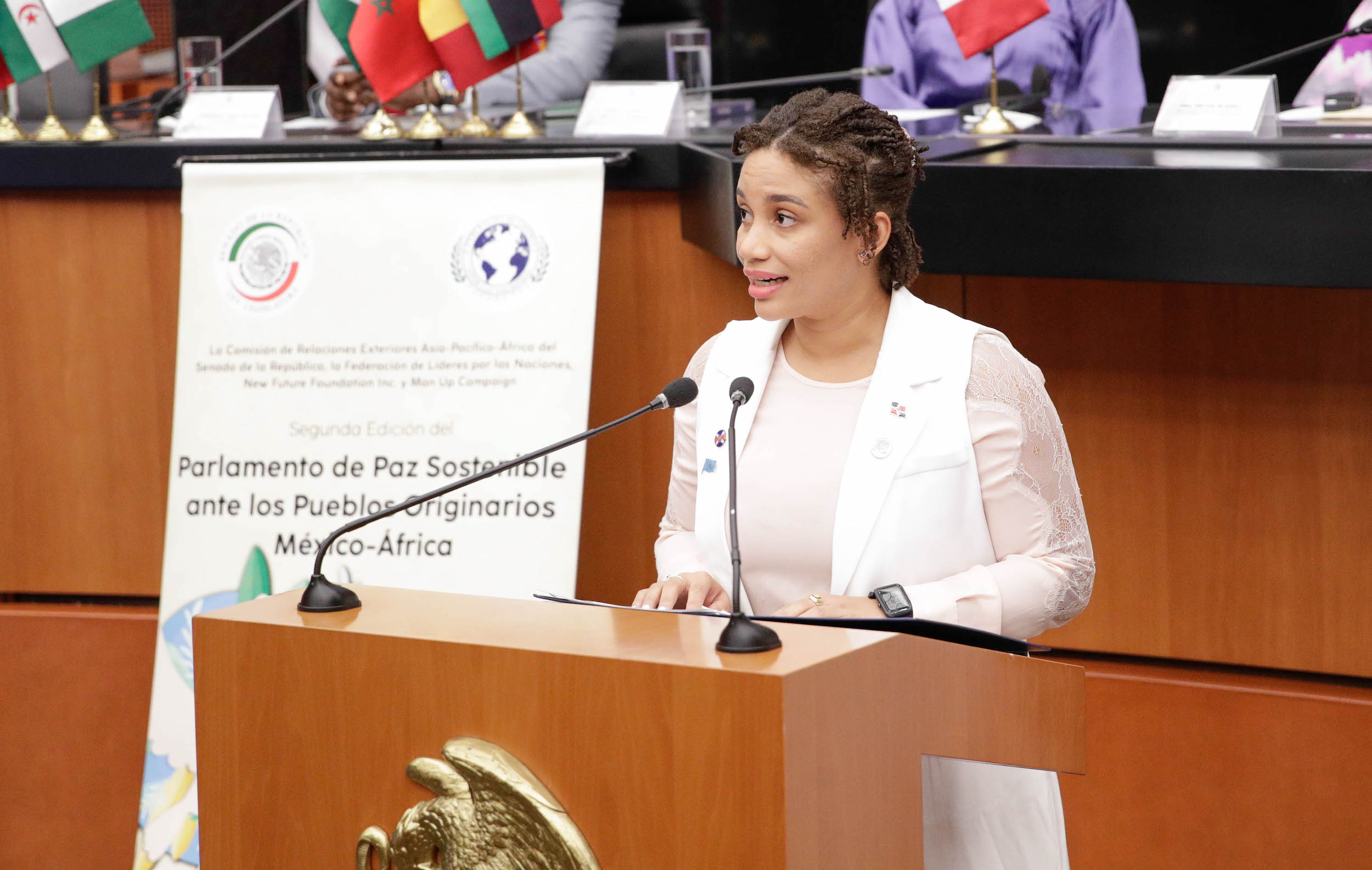 Parlamento de Paz Sostenible ante los Pueblos Originarios Meixico-Aifrica-