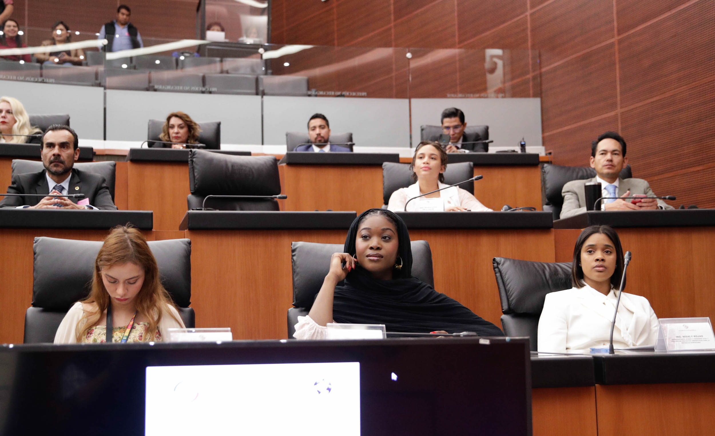 Parlamento de Paz Sostenible ante los Pueblos Originarios Meixico-Aifrica-