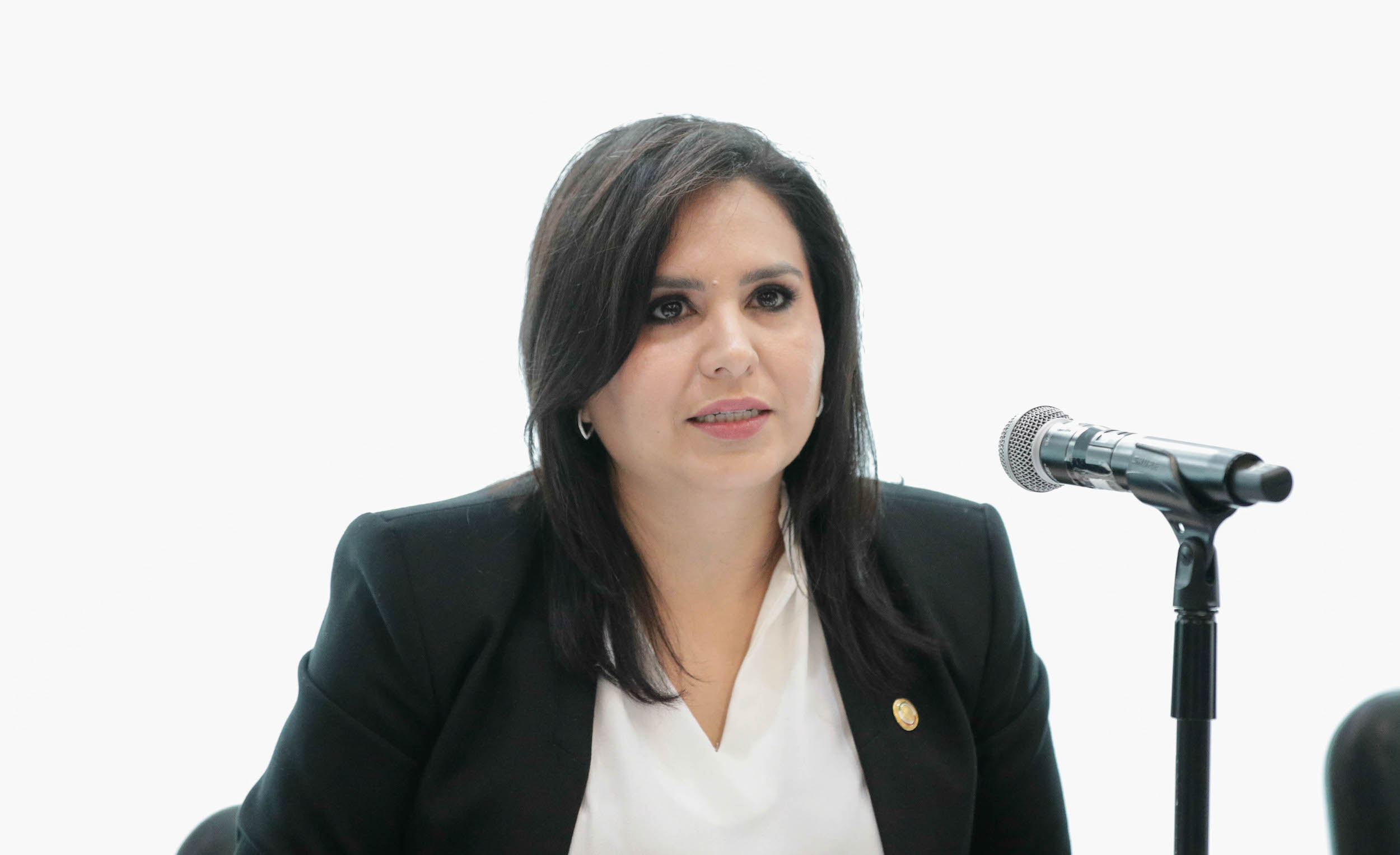 Reunioin de trabajo de la Comisioin de Estudios Legislativos Primera 2-