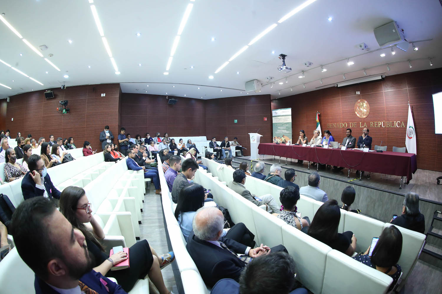 Presentacion del libro Desplazamiento forzado interno en Mexico del reconocimiento a los desafios-