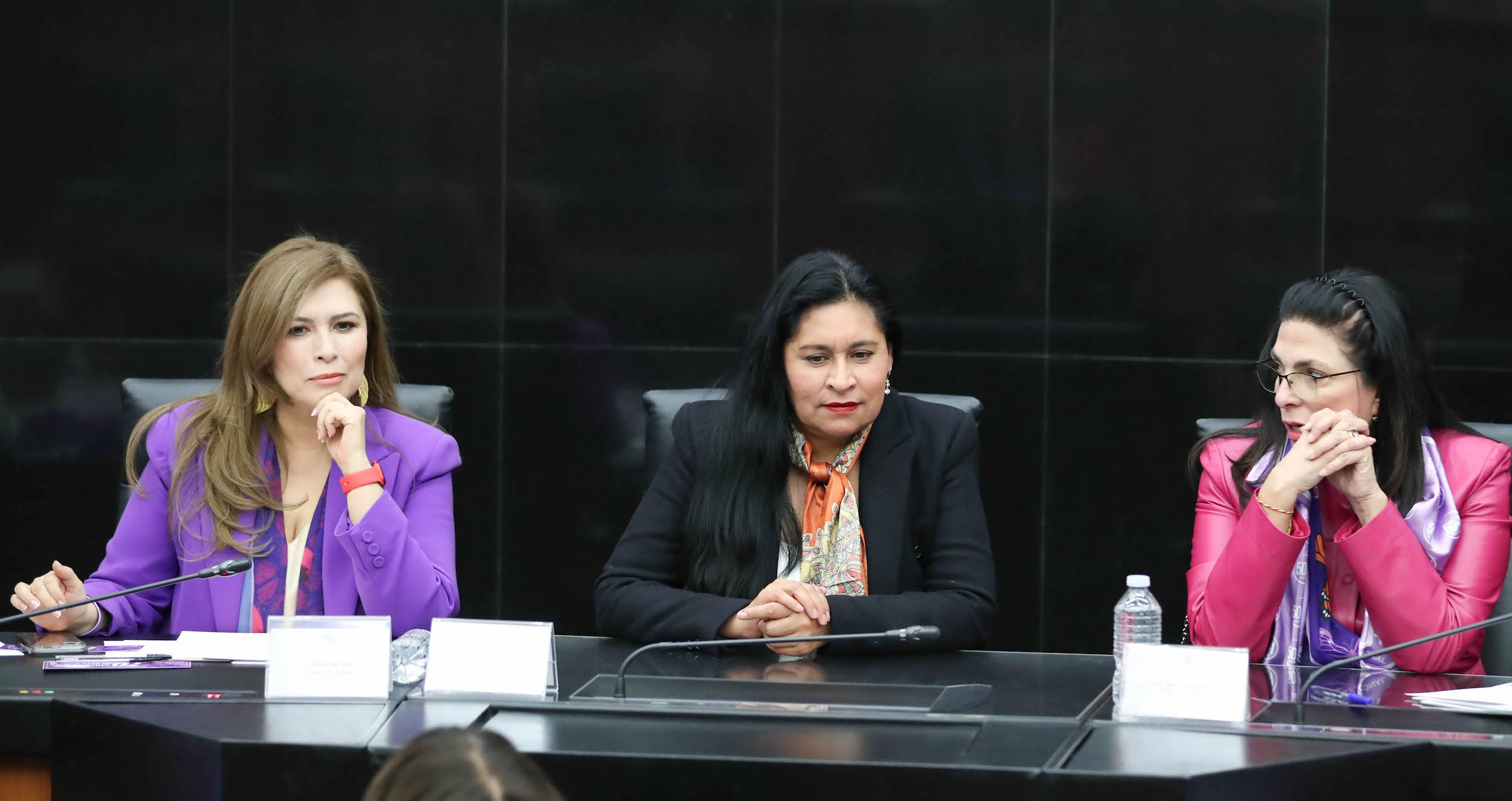 70 Aniversario del Voto de las Mujeres  -