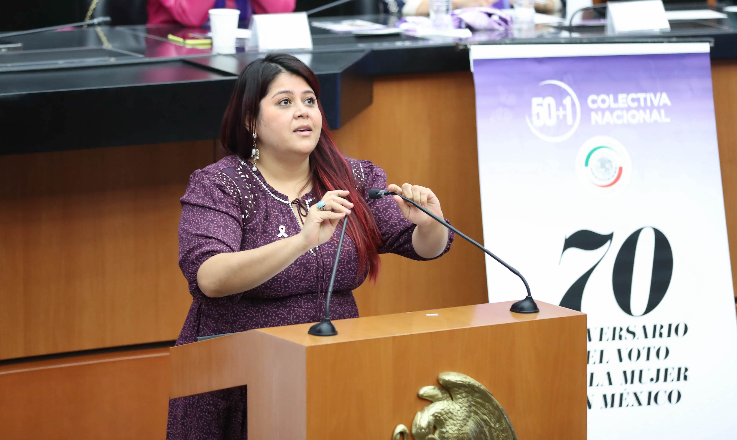 70 Aniversario del Voto de las Mujeres  -
