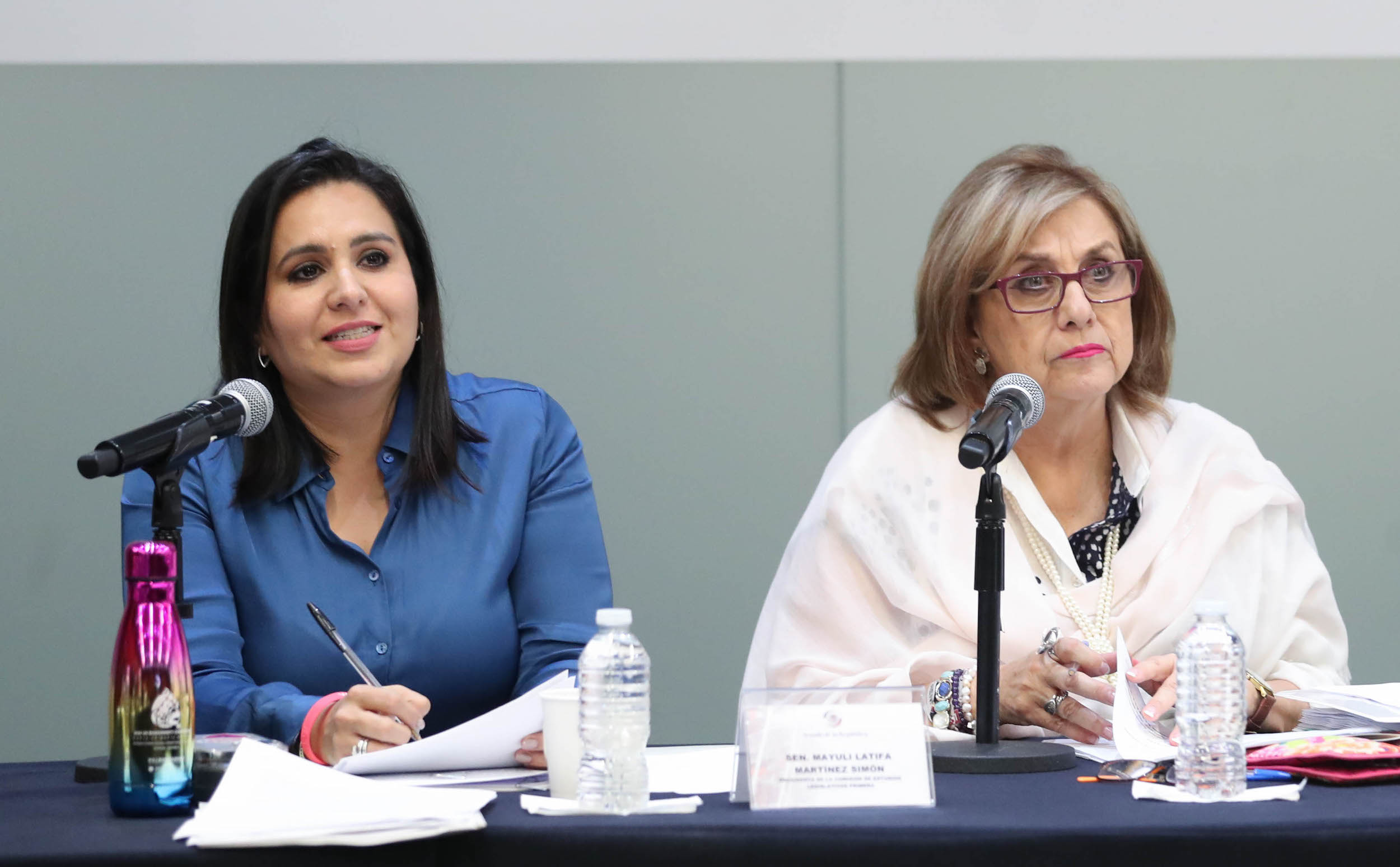 Comisiones Unidas para la Igualdad de Genero y de estudios Legislativos Primera-